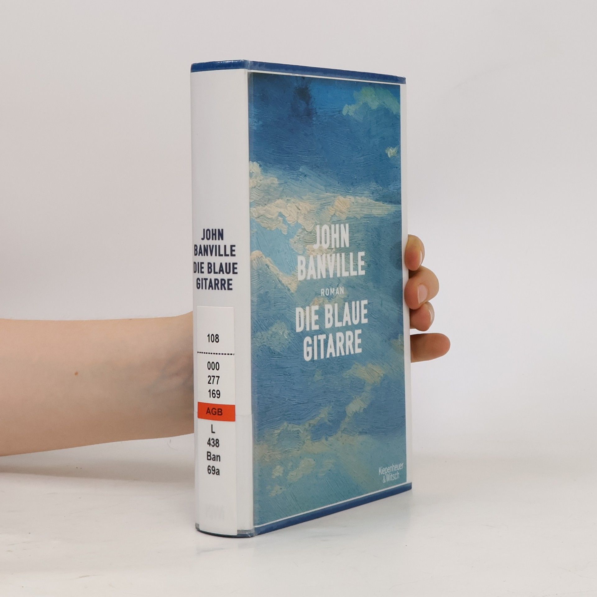John Banville Die blaue Gitarre