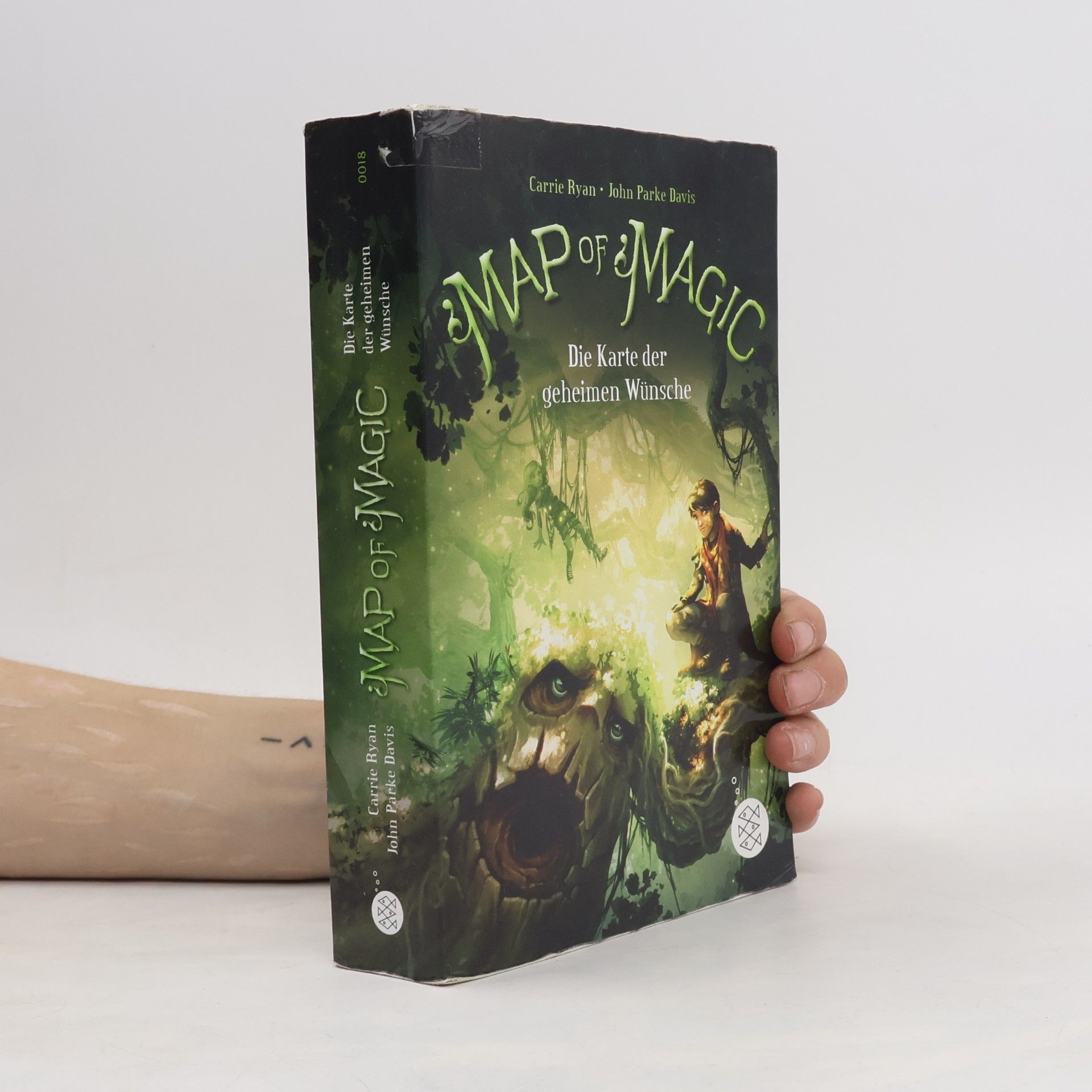 Carrie Ryan Map of Magic. Die Karte der geheimen Wünsche