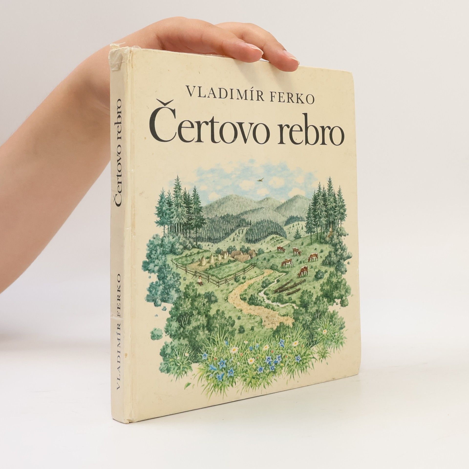Vladimír Ferko Čertovo rebro