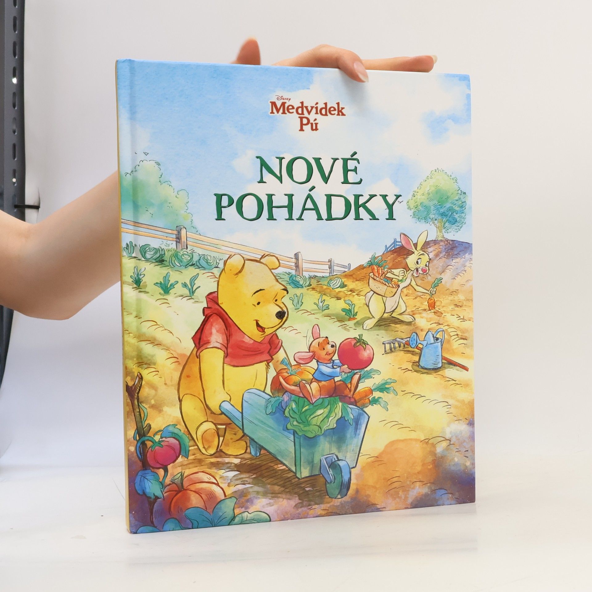 Various authors Medvídek Pú - Nové pohádky