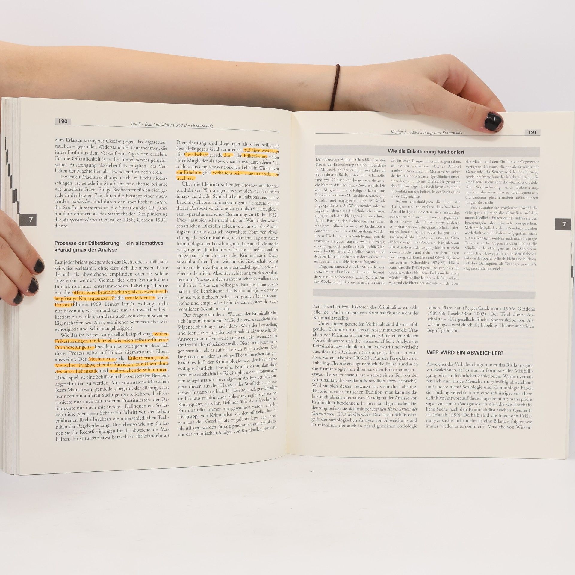 Hans Joas Lehrbuch der Soziologie