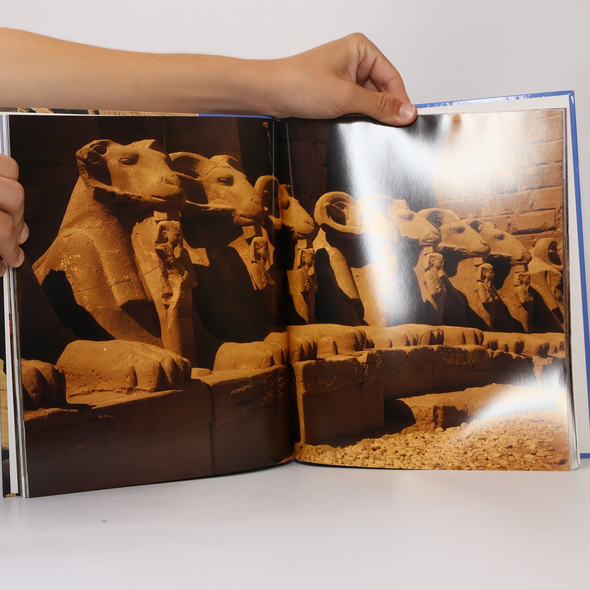 Simonetta Crescimbene Egypt