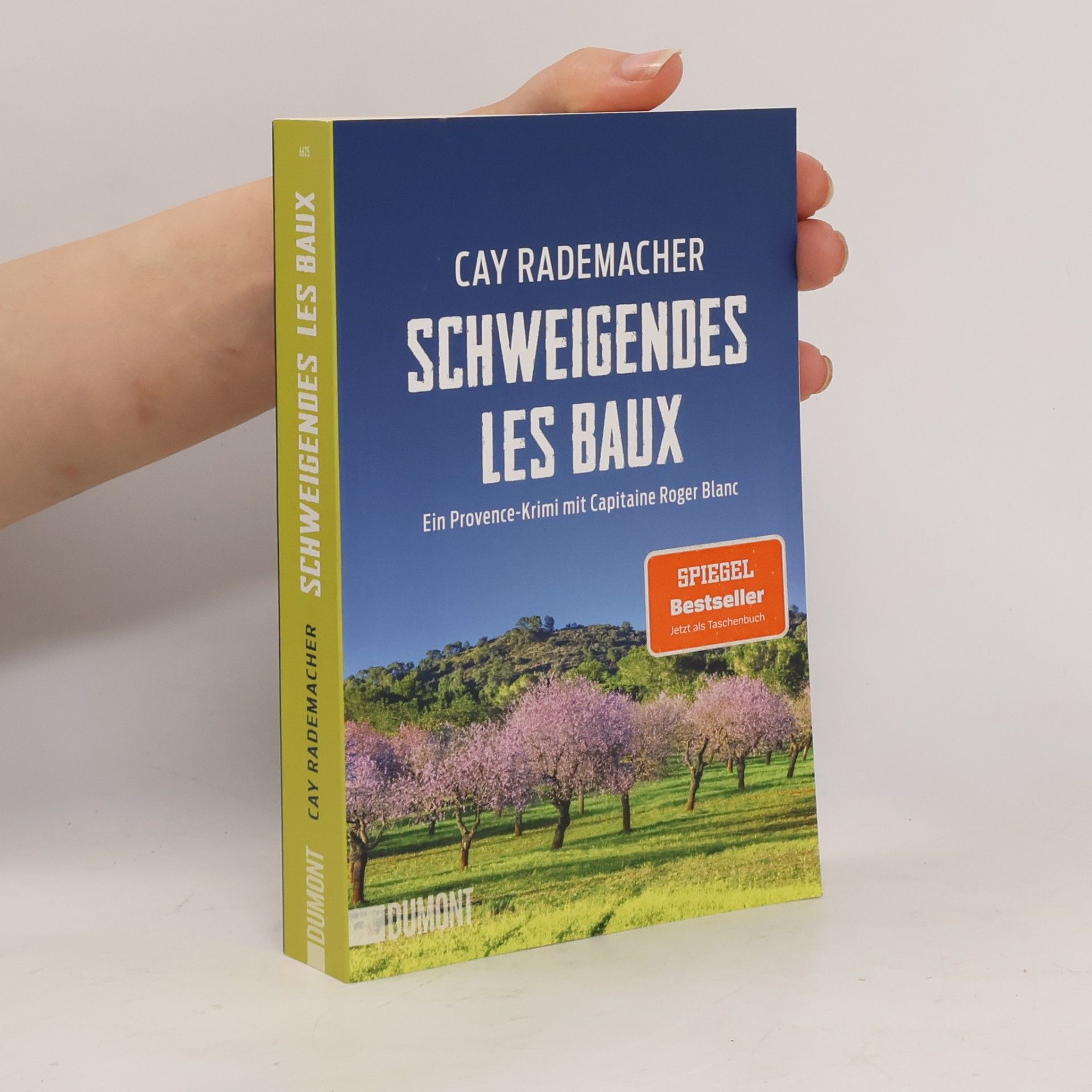 Cay Rademacher Schweigendes Les Baux