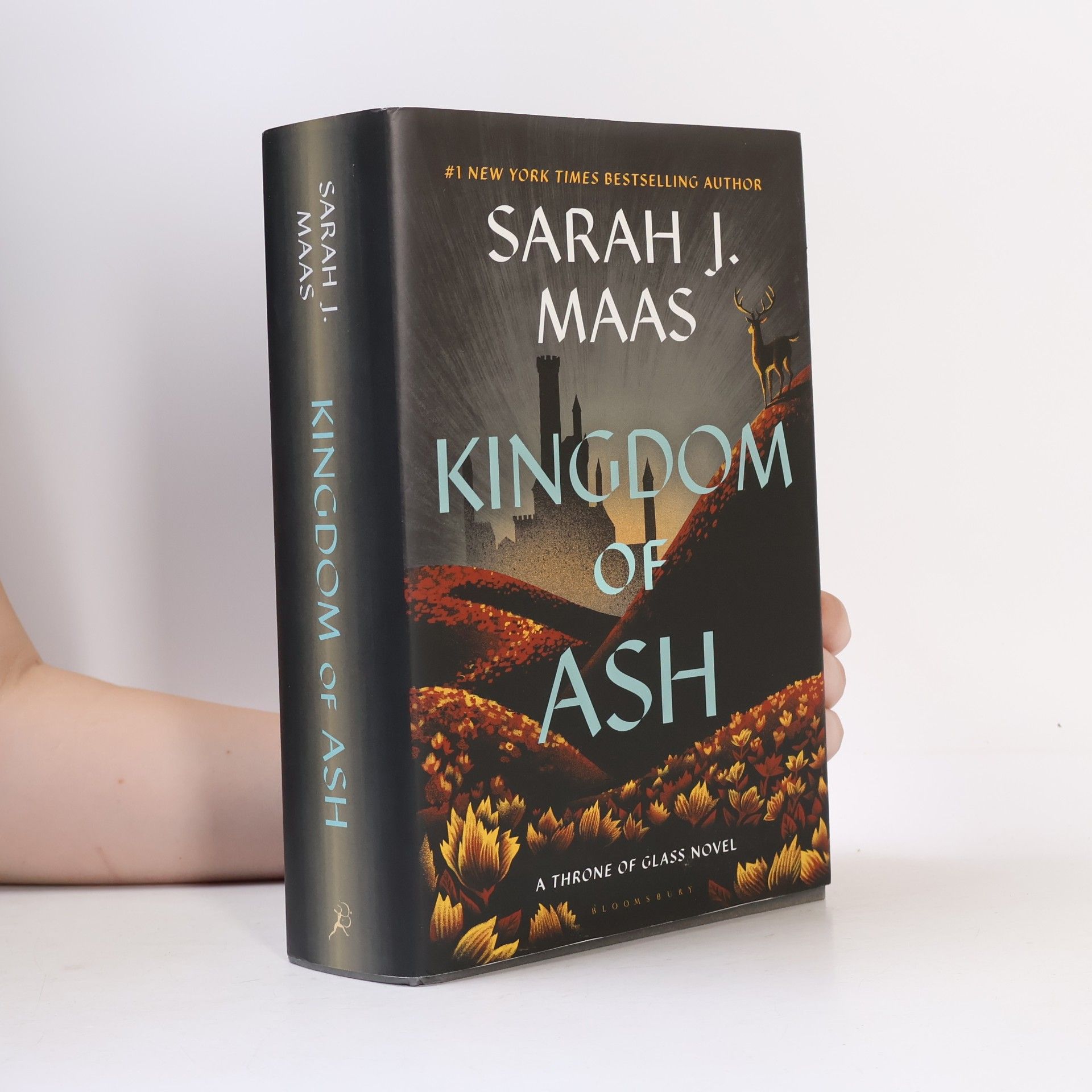 Sarah J. Maas Kingdom of Ash