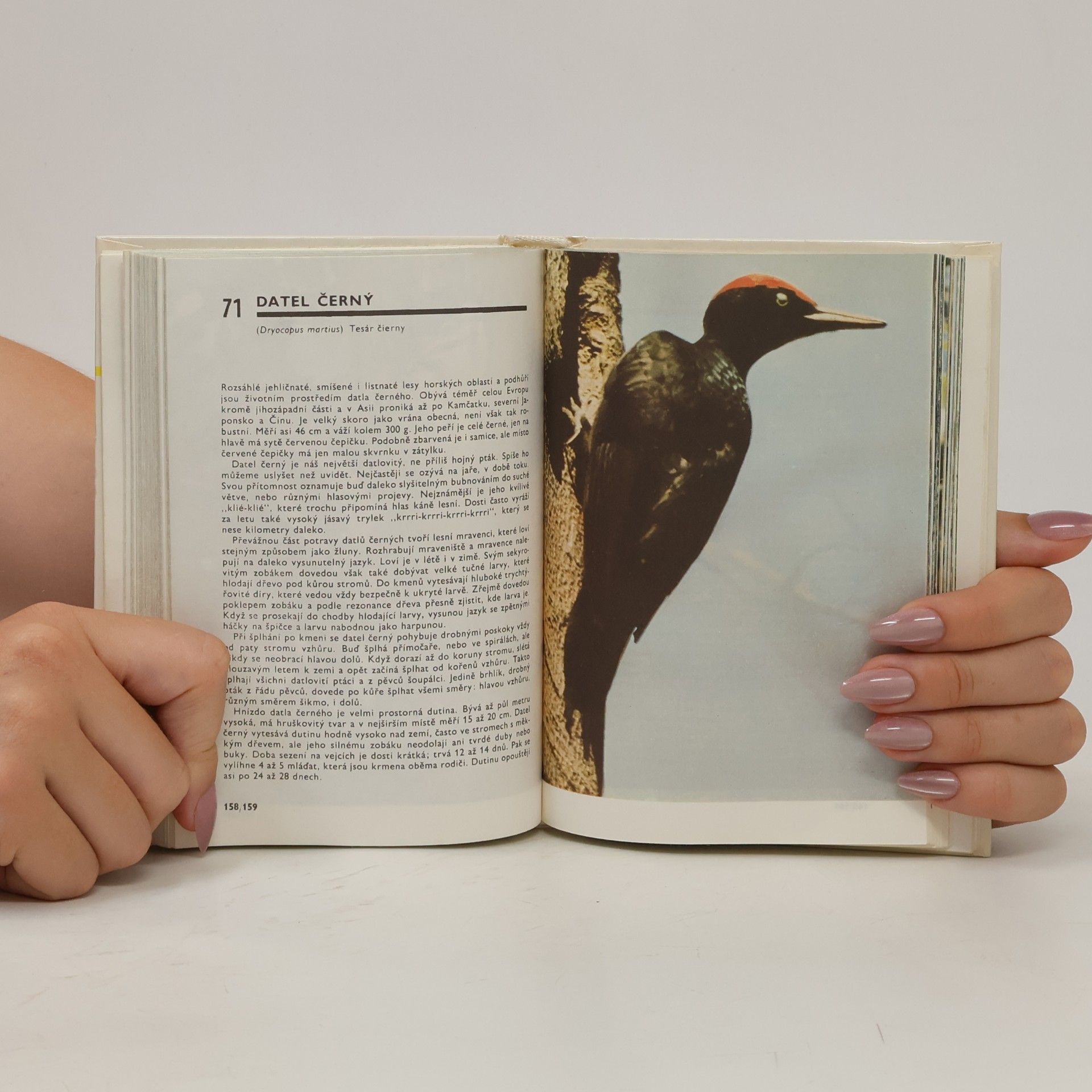 Otakar Procházka Kapesní atlas ptáků