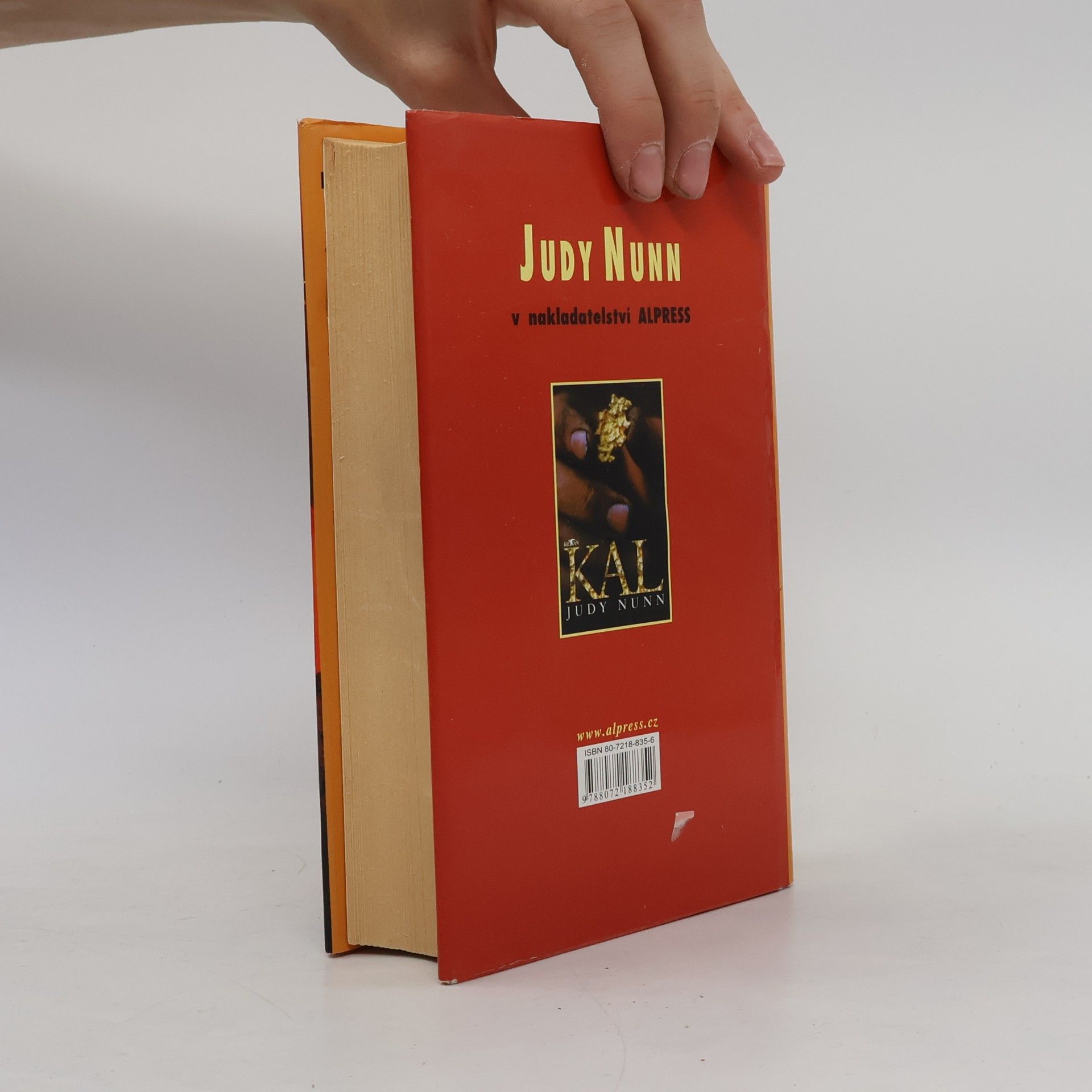 Judy Nunn Pod Jižním křížem