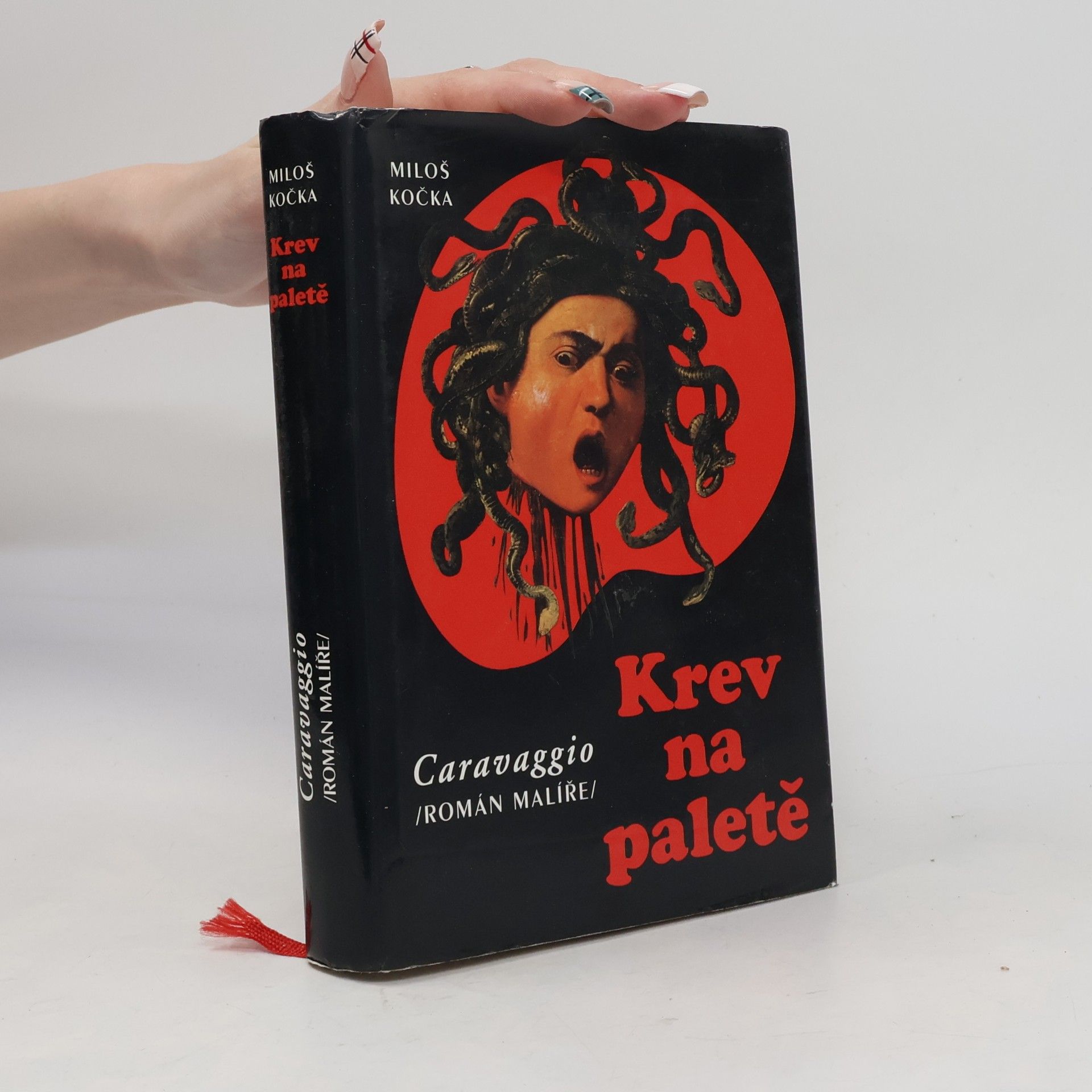Miloš Kočka Krev na paletě