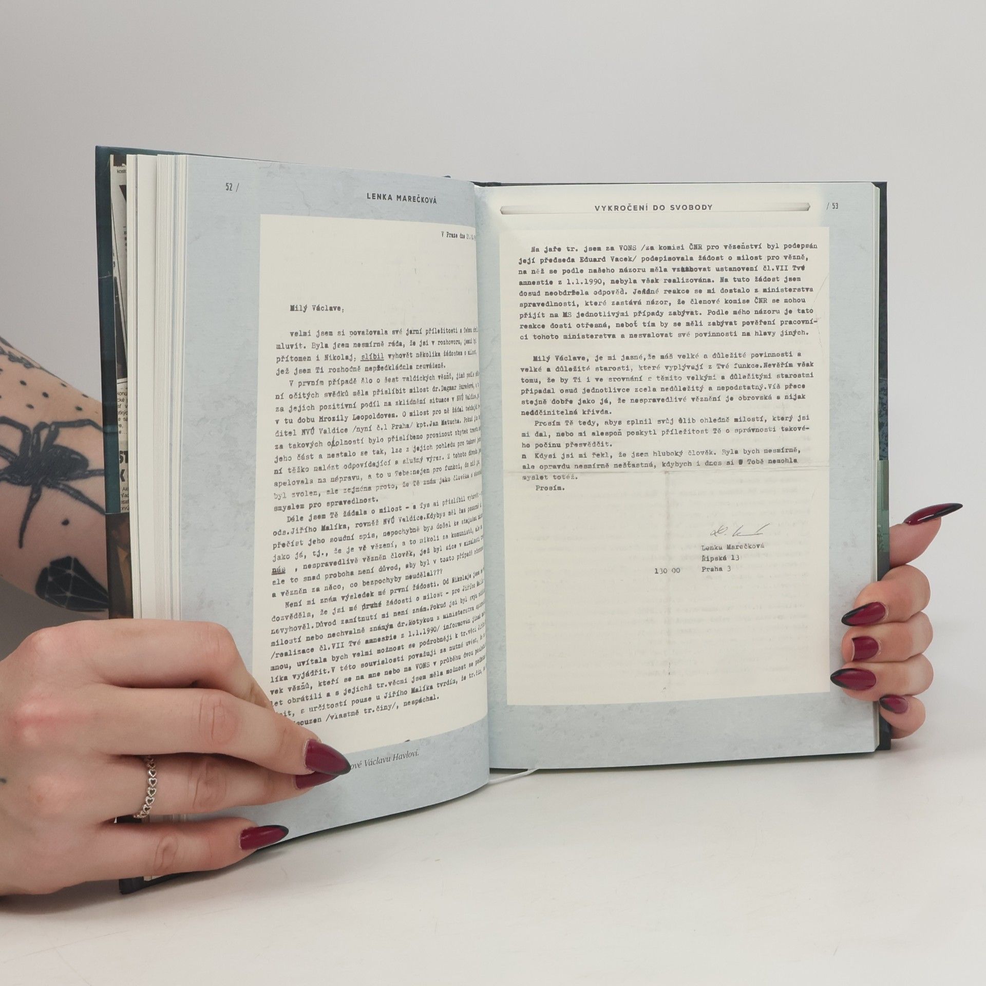 Autorenkollektiv Amnestie - Sloboda ako hrubá čiara za minulosťou