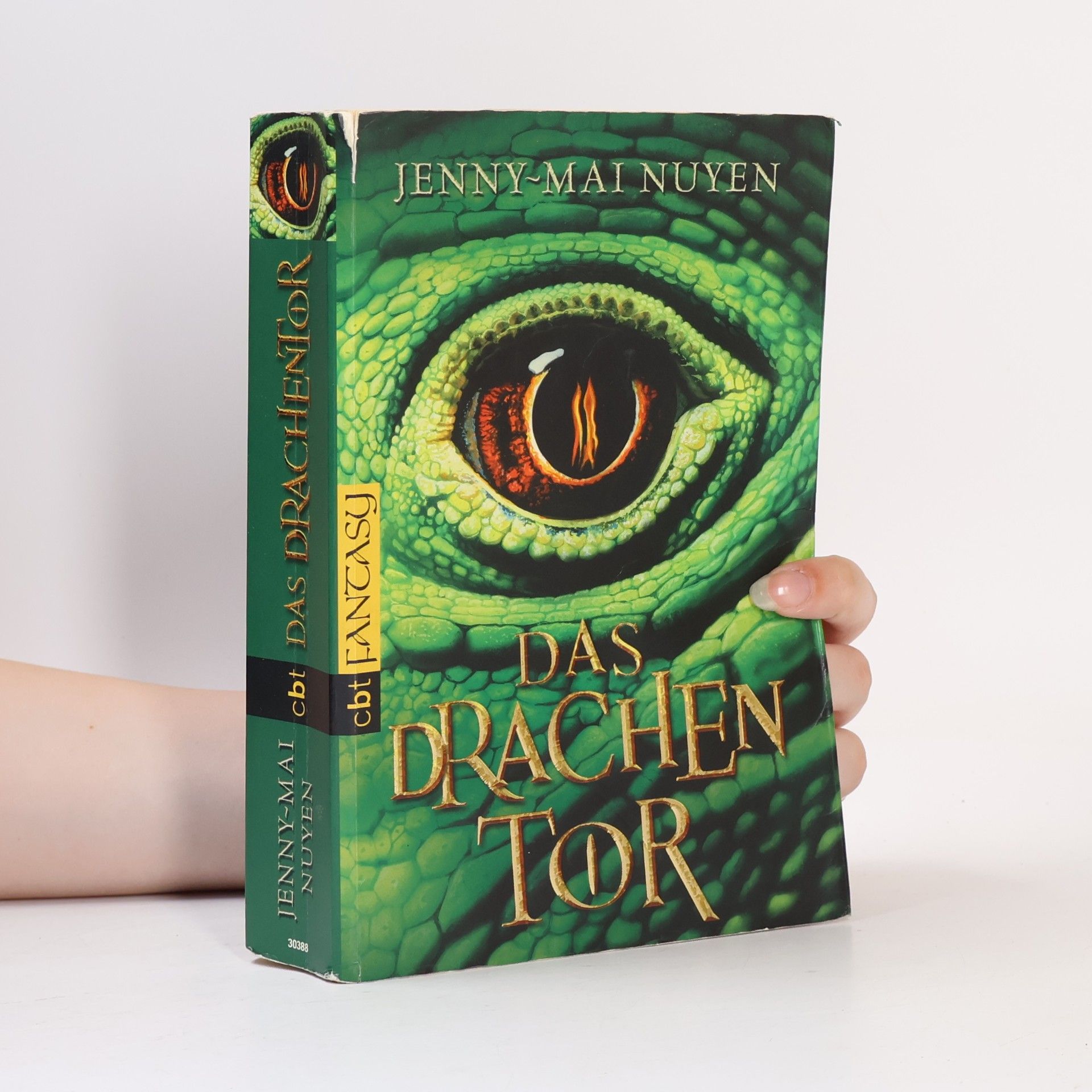 Jenny-Mai Nuyen Das Drachentor