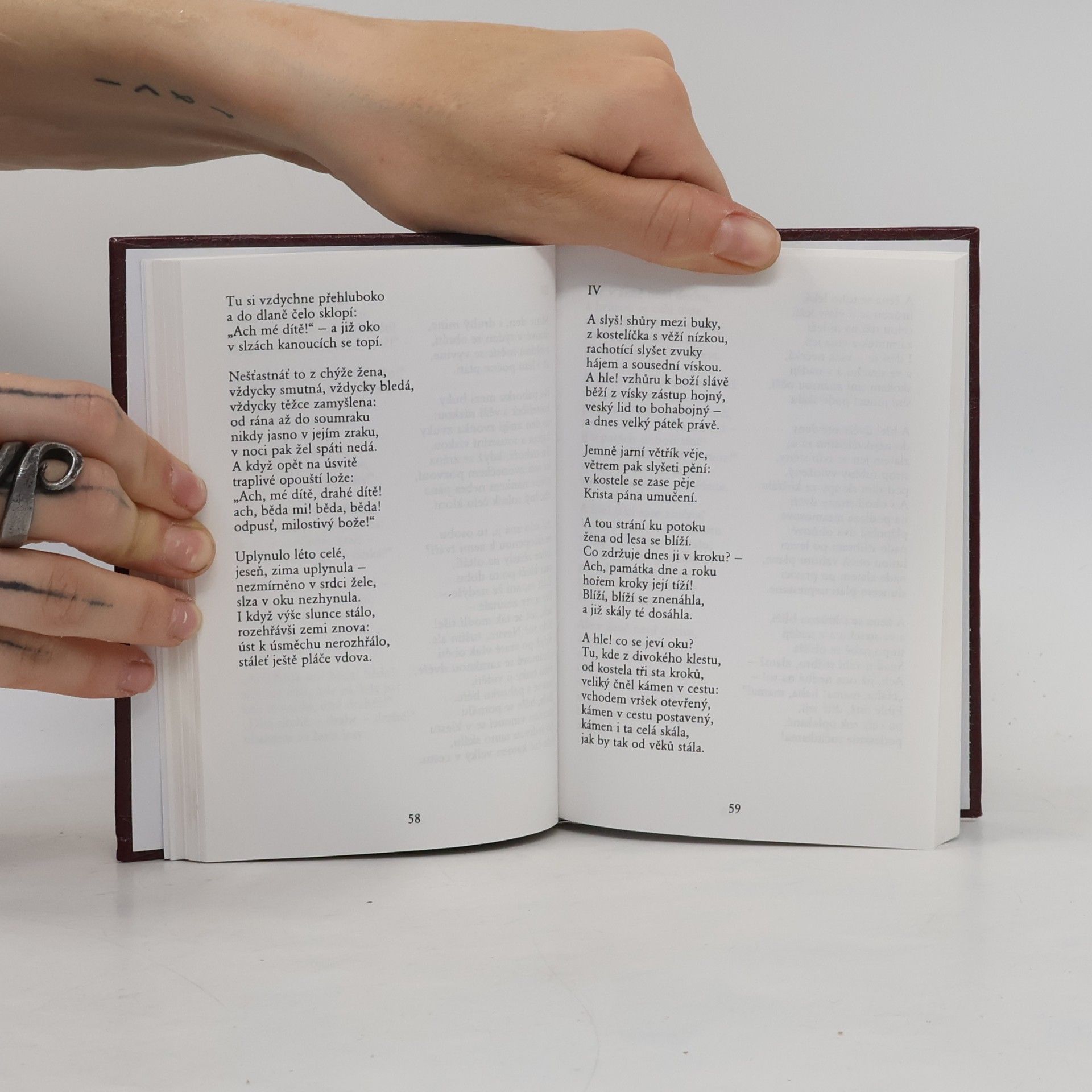 Karel Hynek Mácha To nejlepší z poezie 19. století: Máj, Kytice