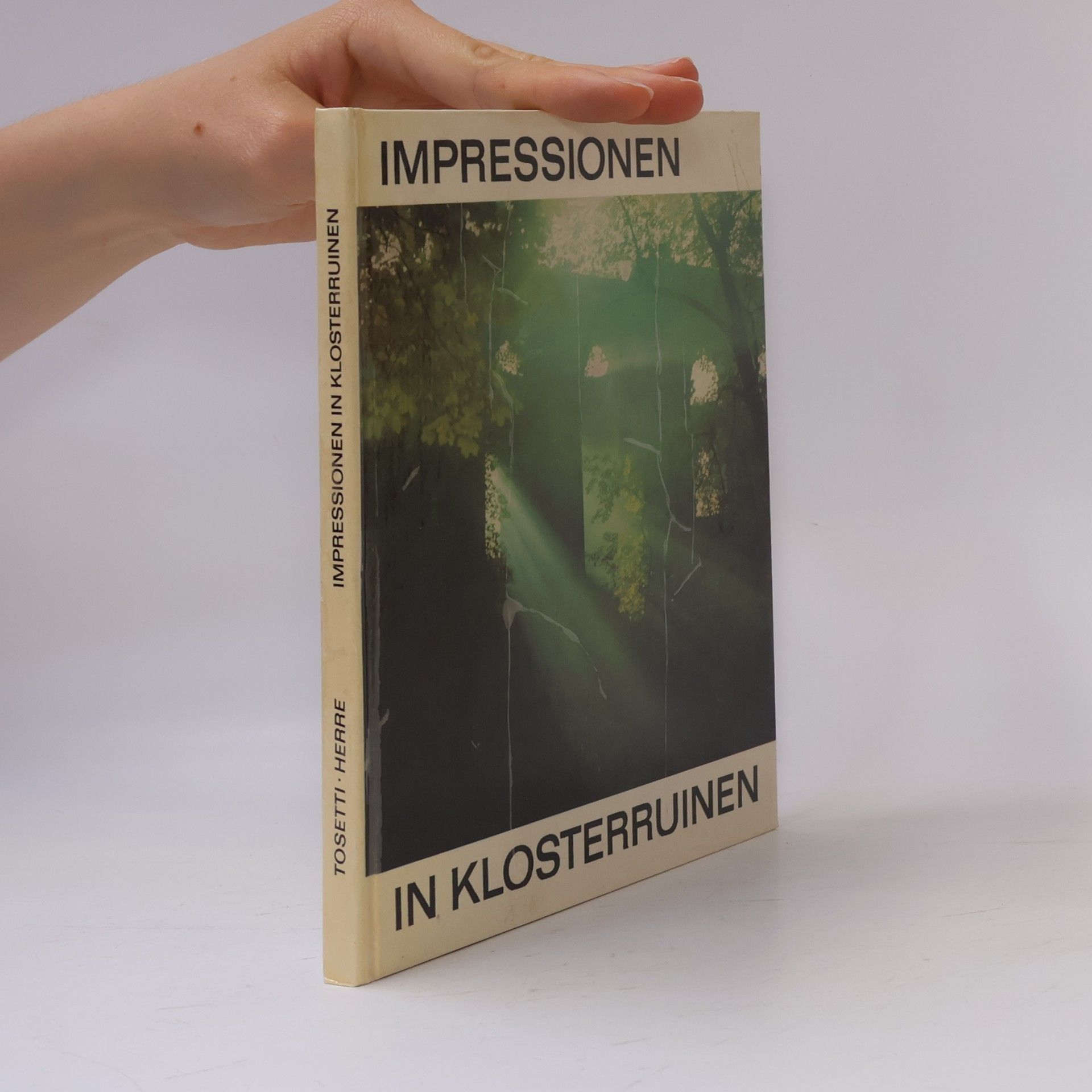 Marianne Tosetti Impressionen in Klosterruinen