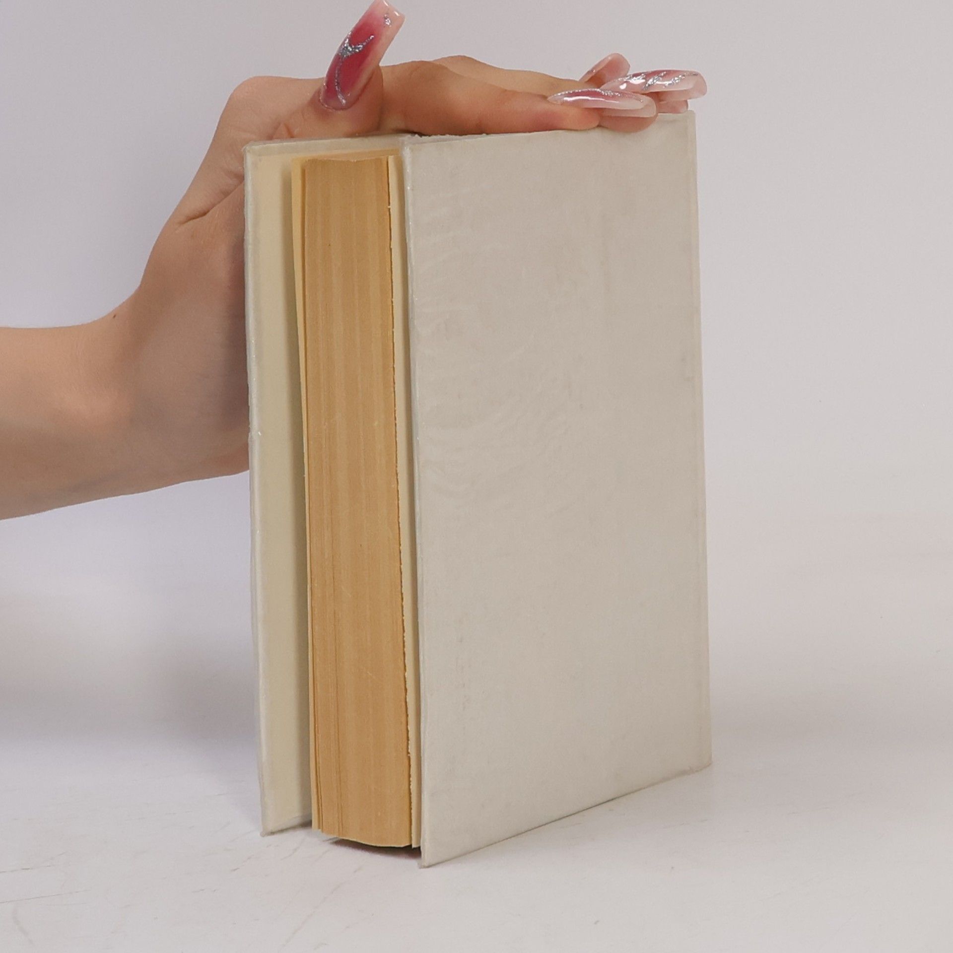 Collectif d'auteurs Taschenwörterbuch Portugiesisch-Deutsch