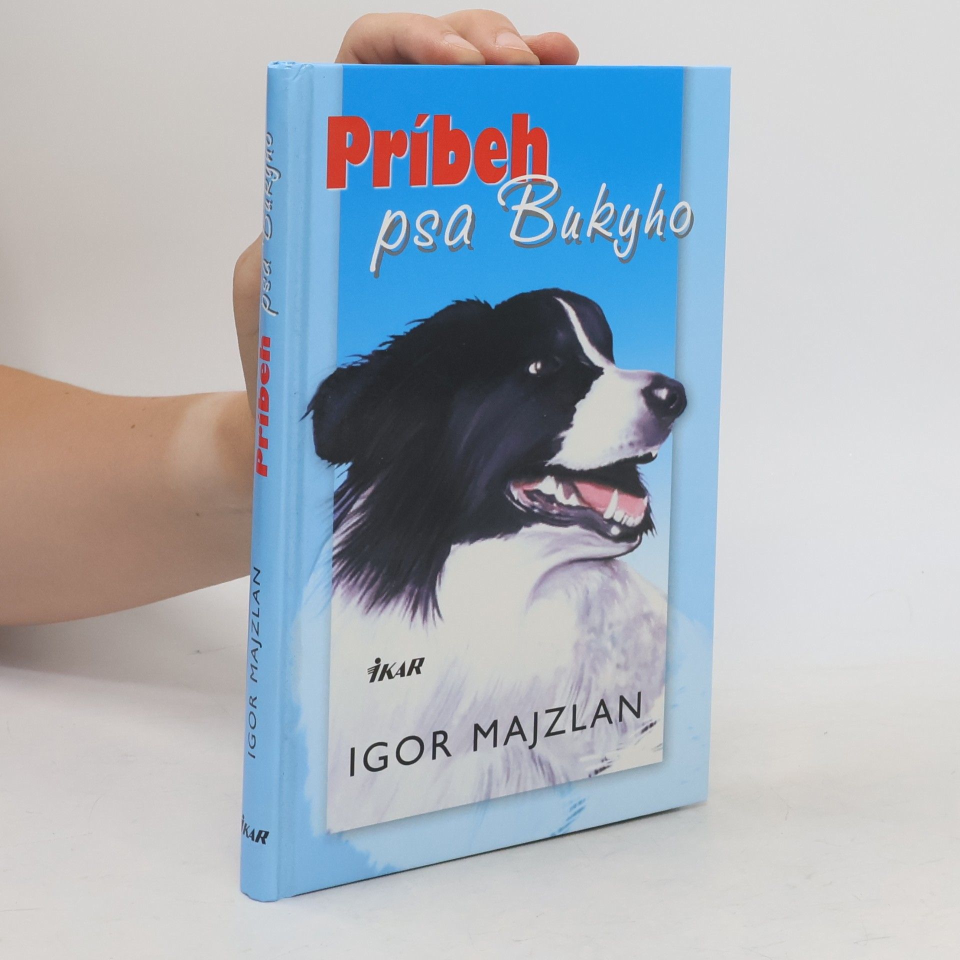 Igor Majzlan Príbeh psa Bukyho