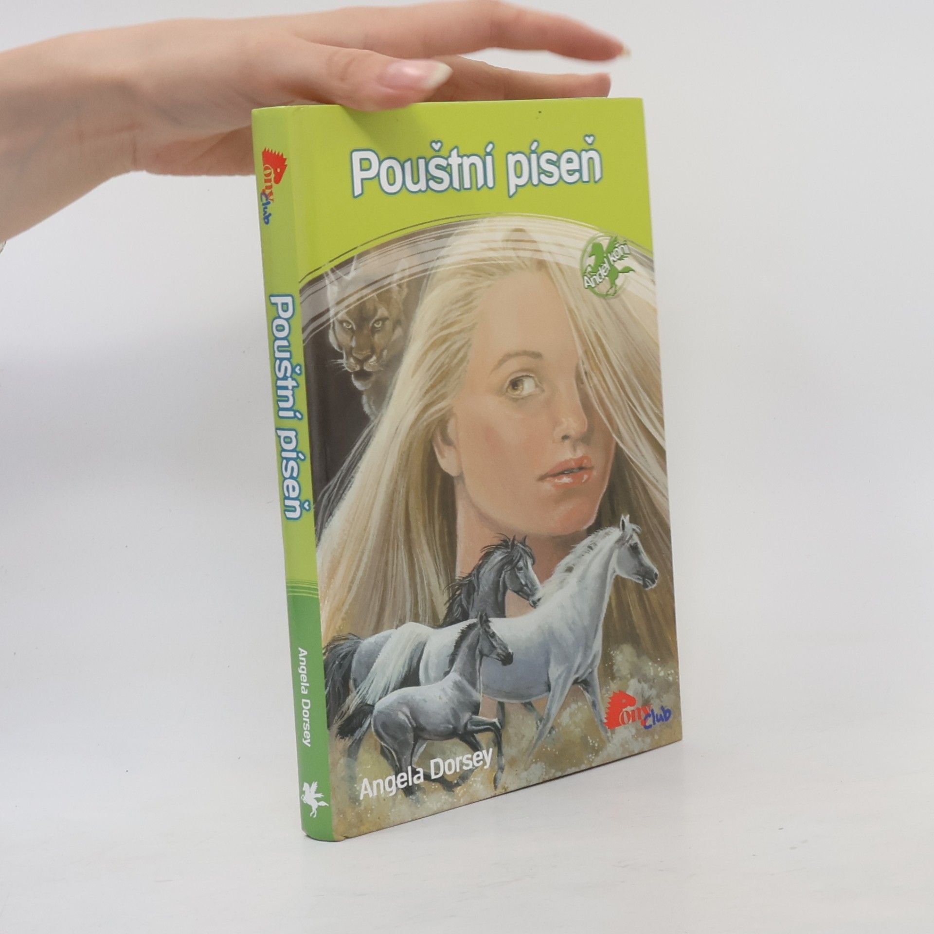 Angela Dorsey Pouštní píseň
