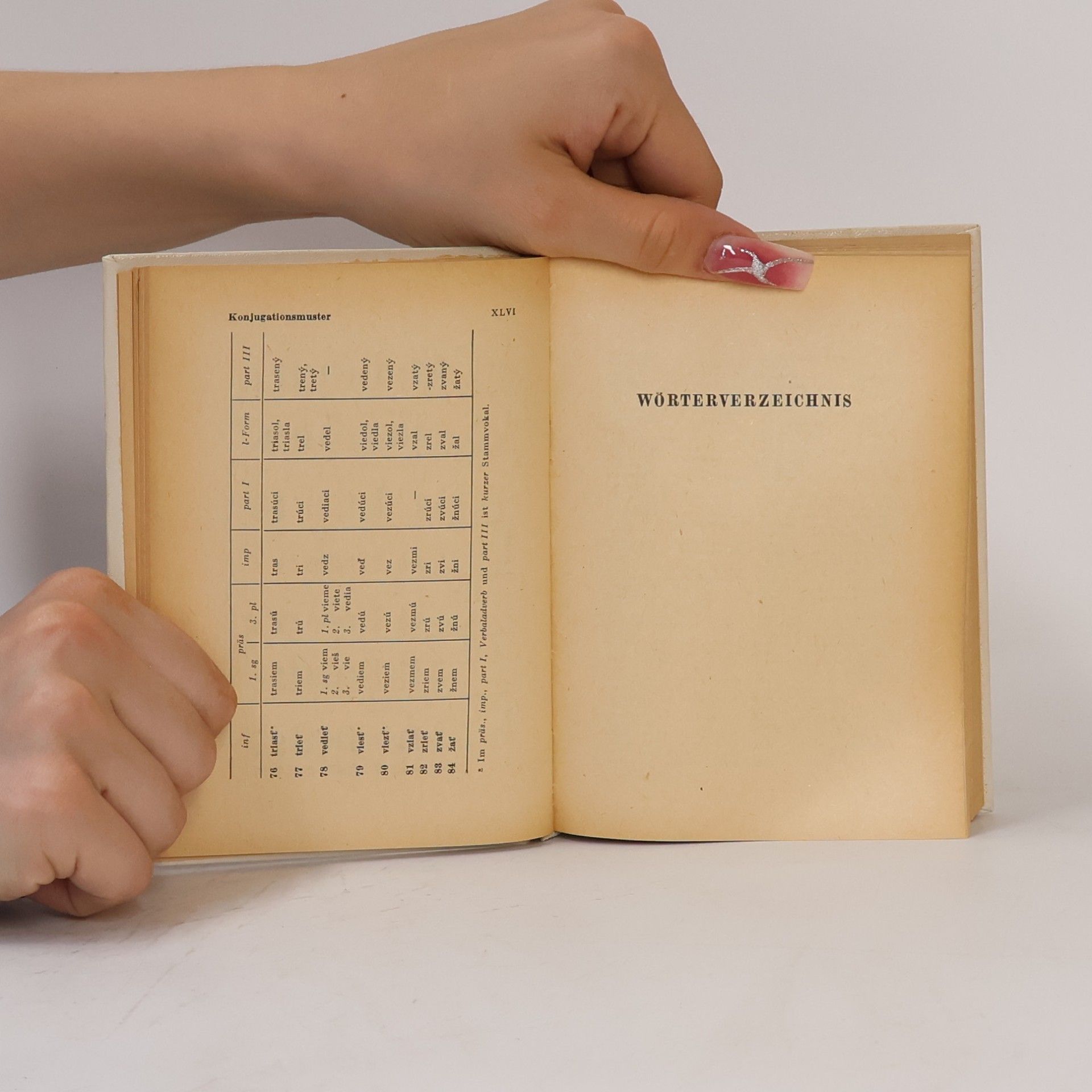 Auteurscollectief Taschenwörterbuch Slowakisch-Deutsch