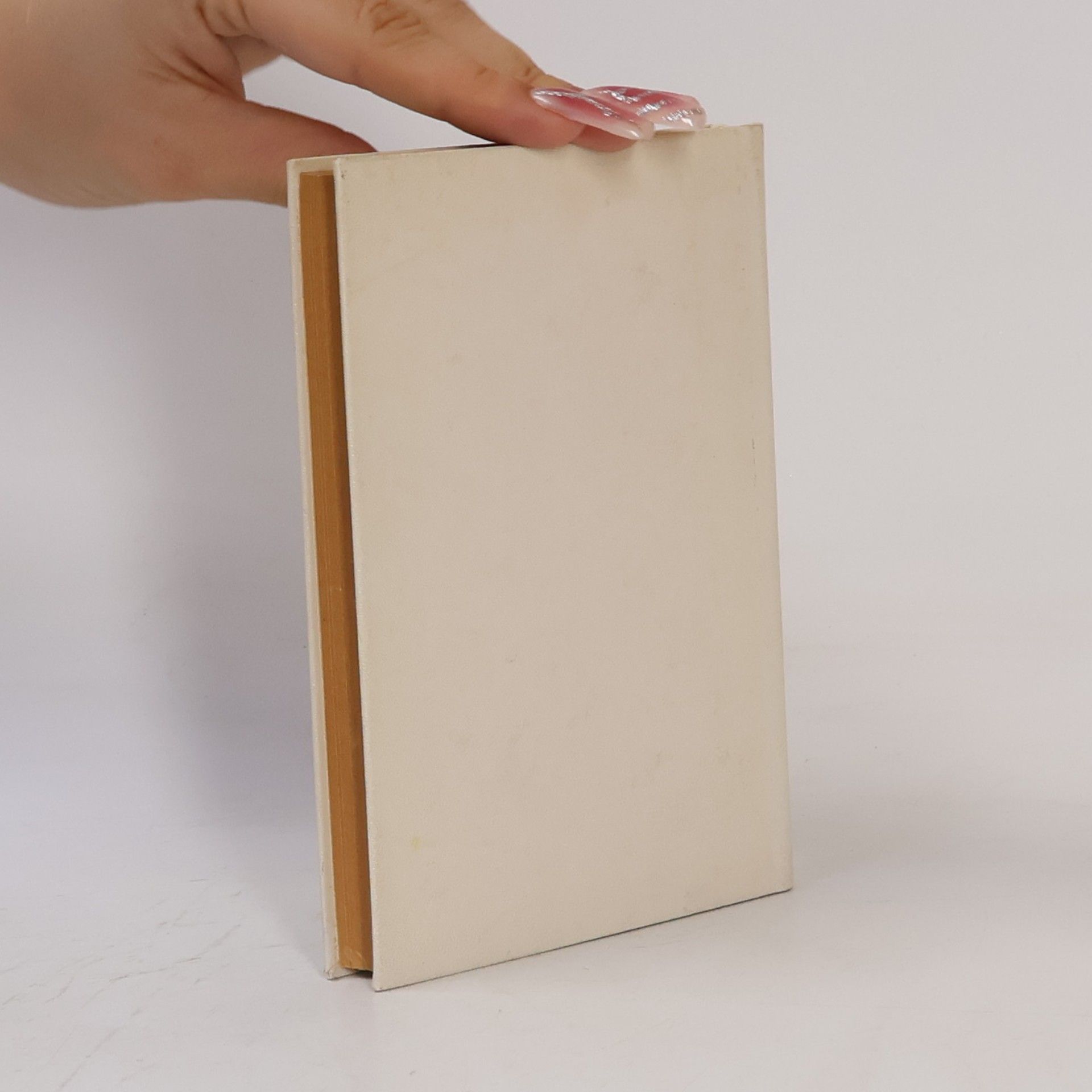 Auteurscollectief Taschenwörterbuch Deutsch-Slowakisch