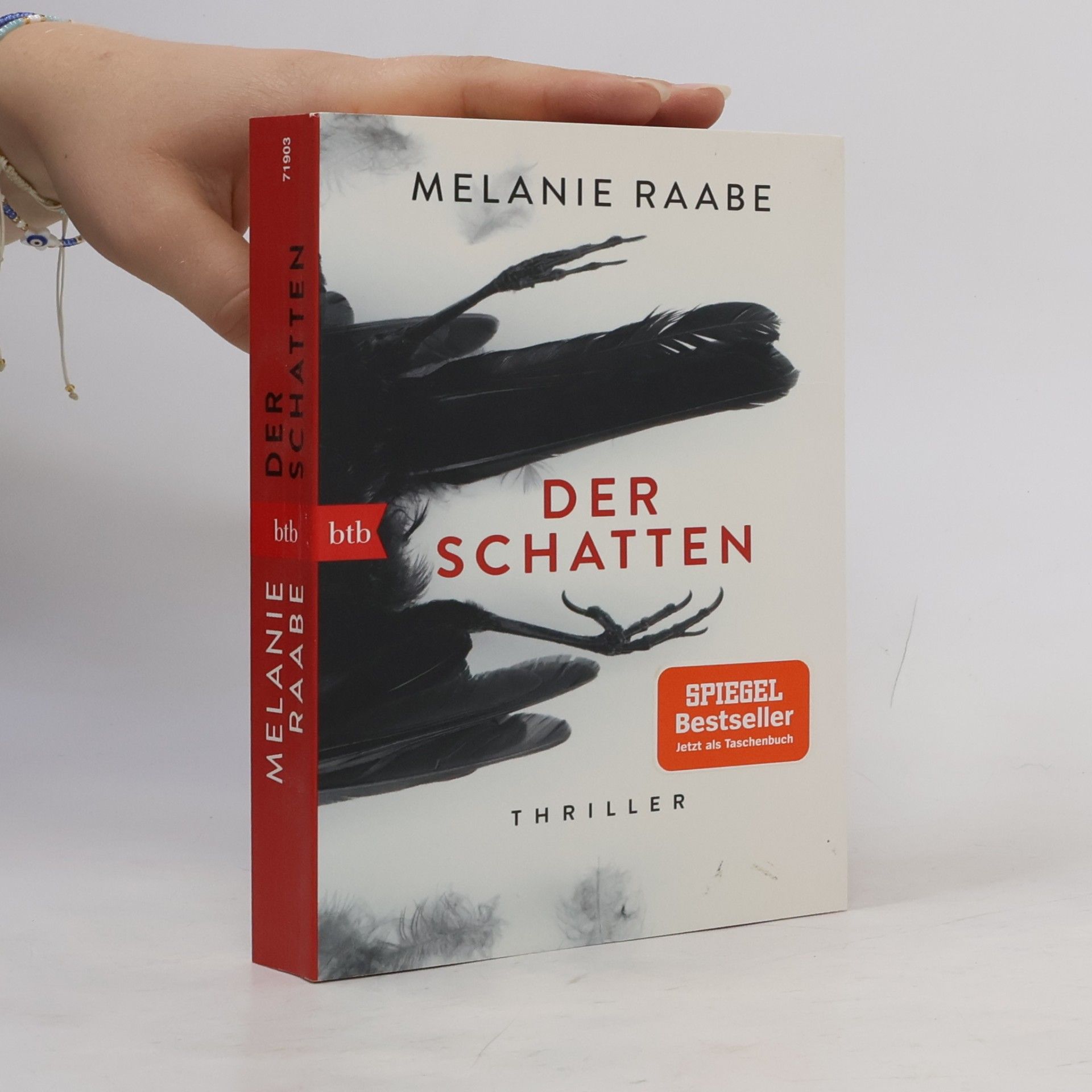Melanie Raabe Der Schatten