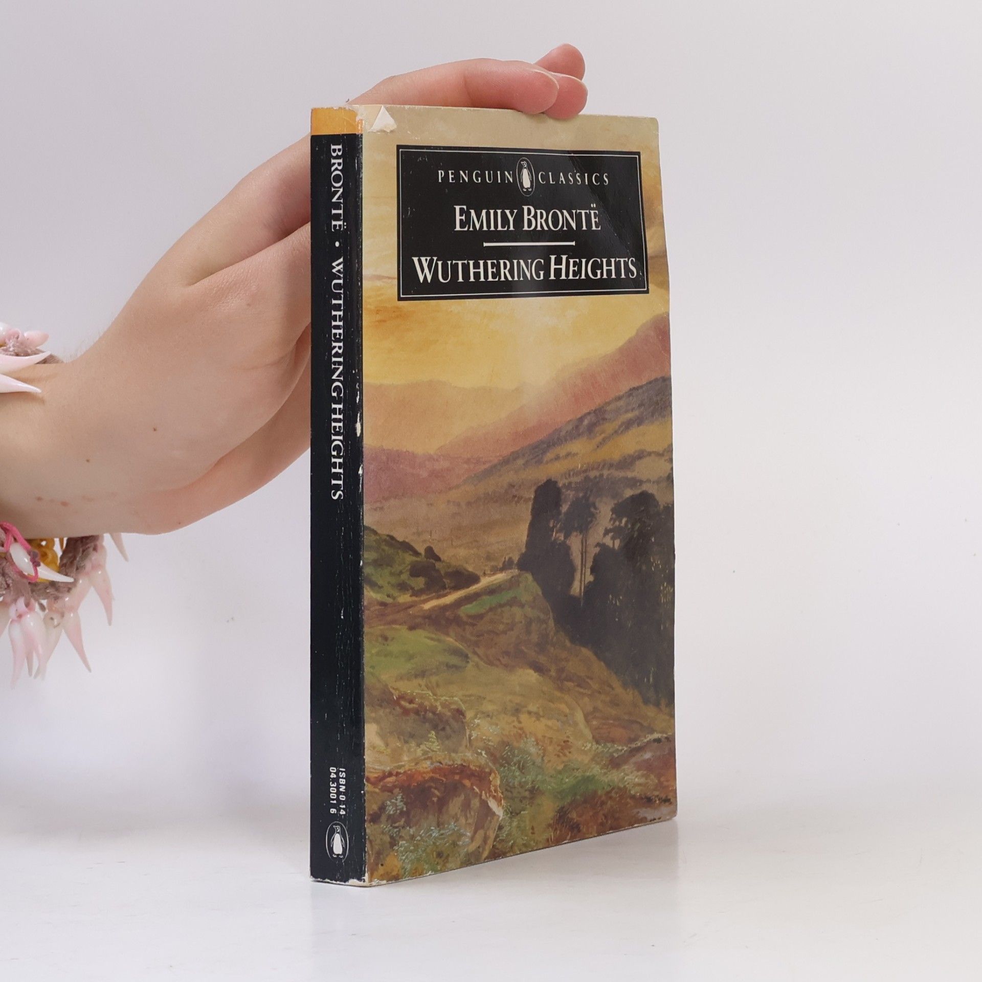 Emily Brontë Wuthering Heights