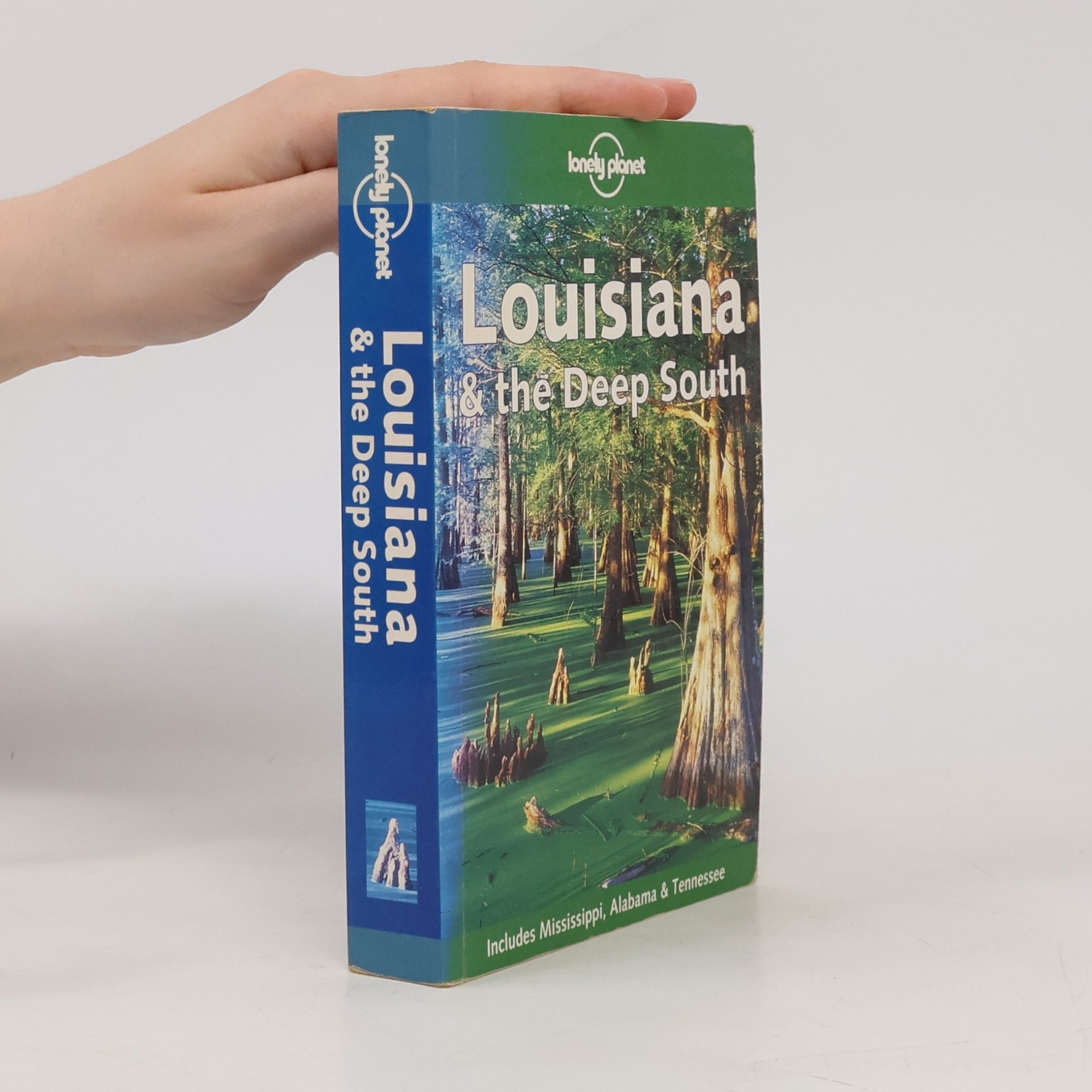 Virginie Boone Louisiana & the Deep South