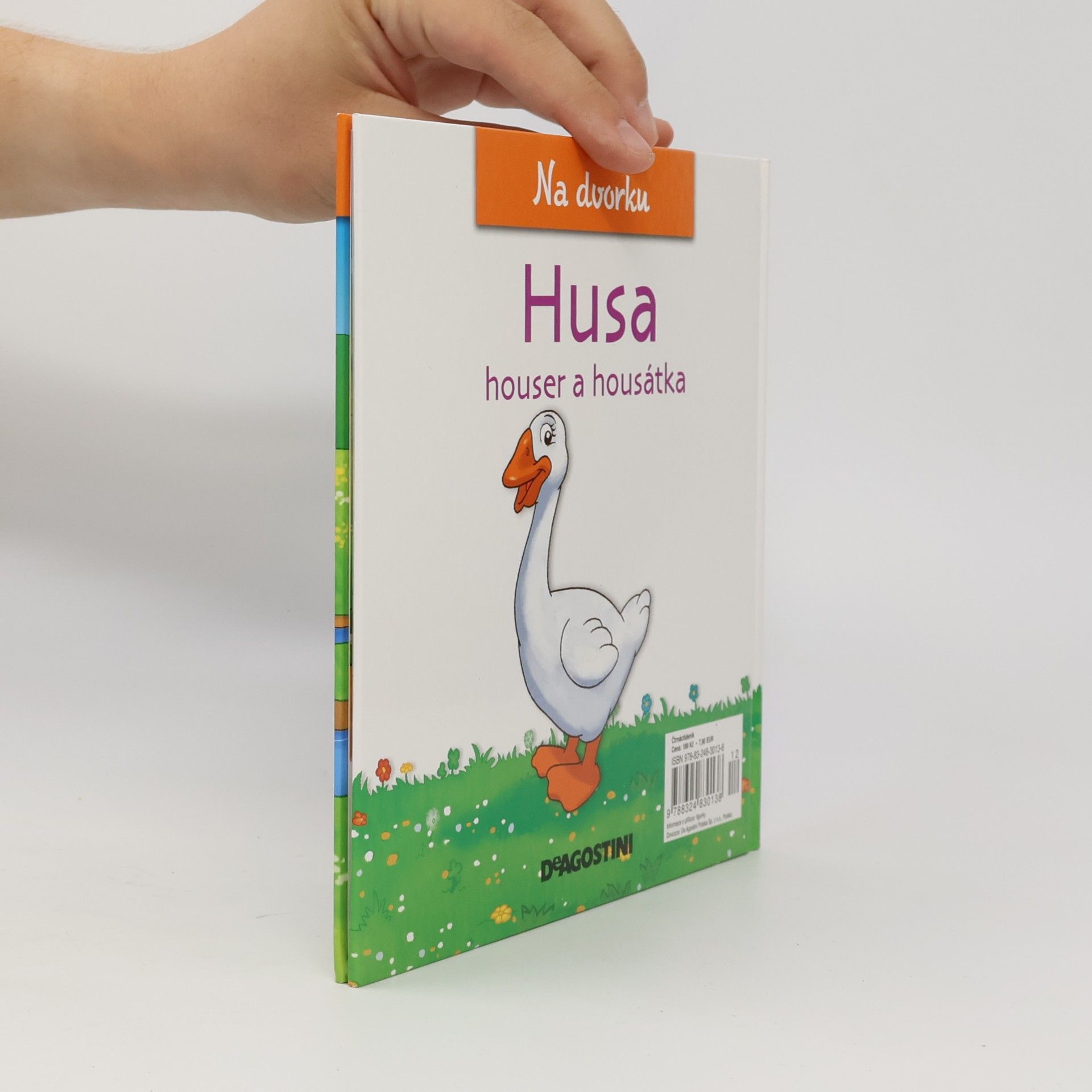 Various authors Na dvorku 29. Husa