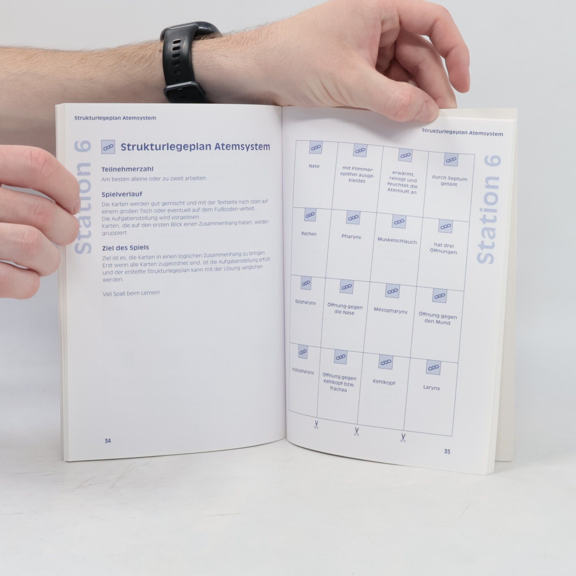 Nikola Steffens Lernstationen: Pneumonieprophylaxe
