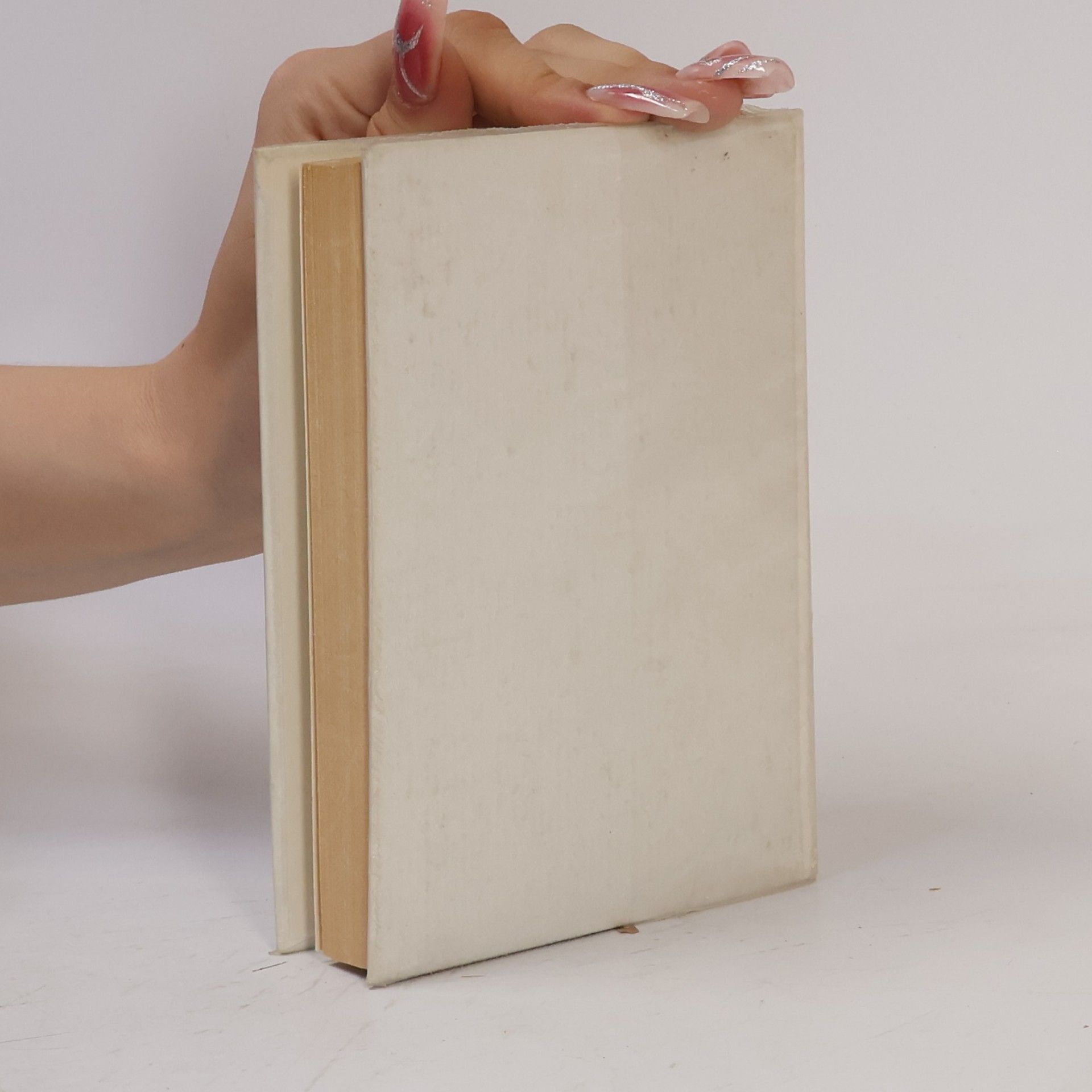 Collectif d'auteurs Taschenwörterbuch Deutsch-Portugiesisch