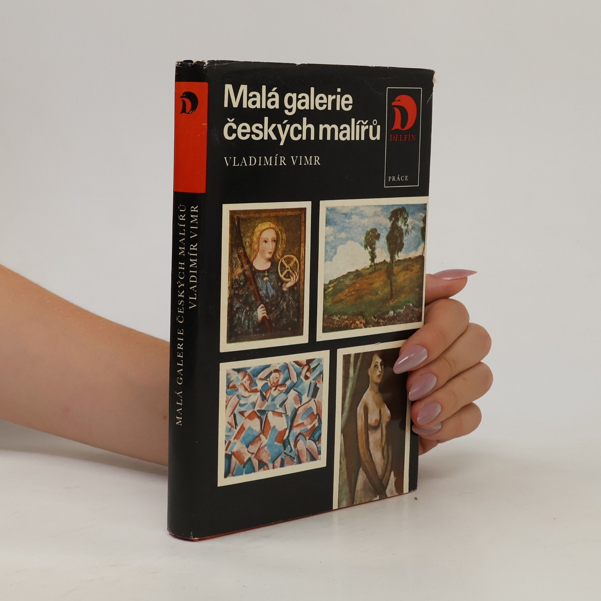 Vladimír Vimr Malá galerie českých malířů