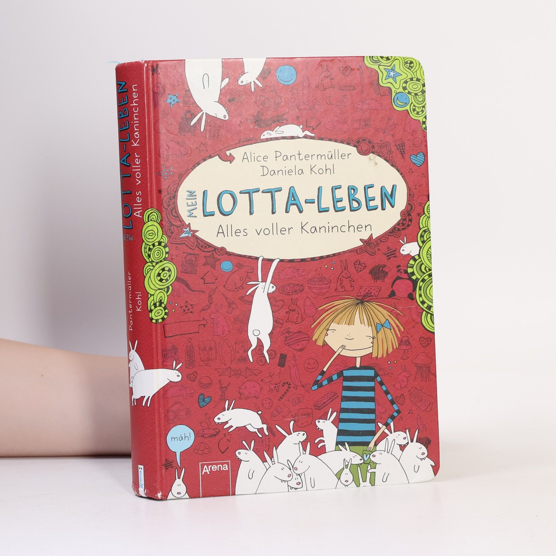 Alice Pantermüller Mein Lotta-leben