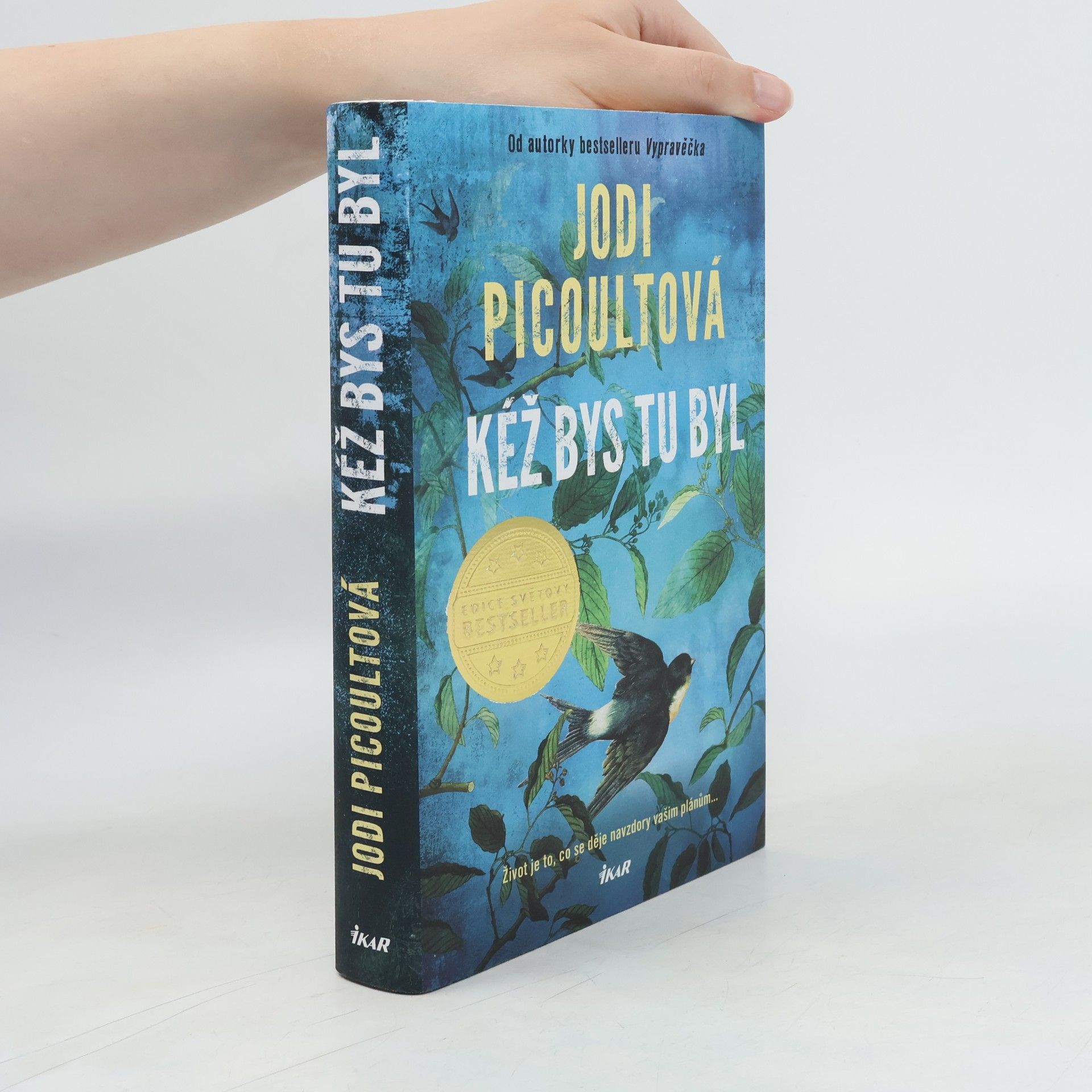 Jodi Picoult Kéž bys tu byl