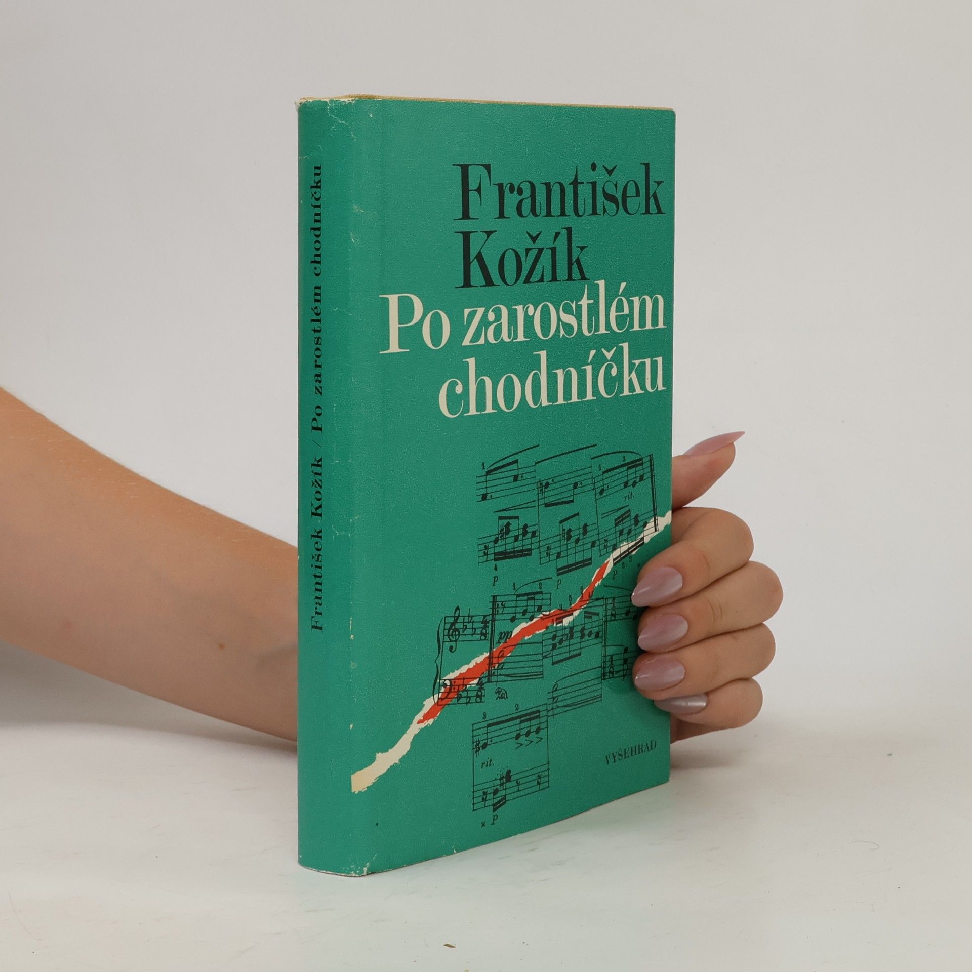 Po zarostlém chodníčku