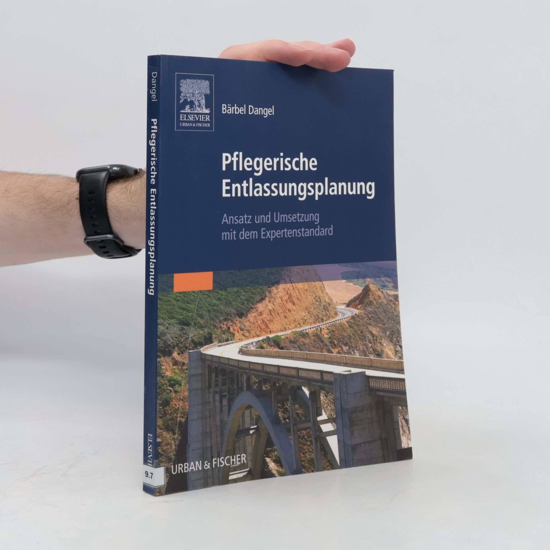 Bärbel Dangel Pflegerische Entlassungsplanung