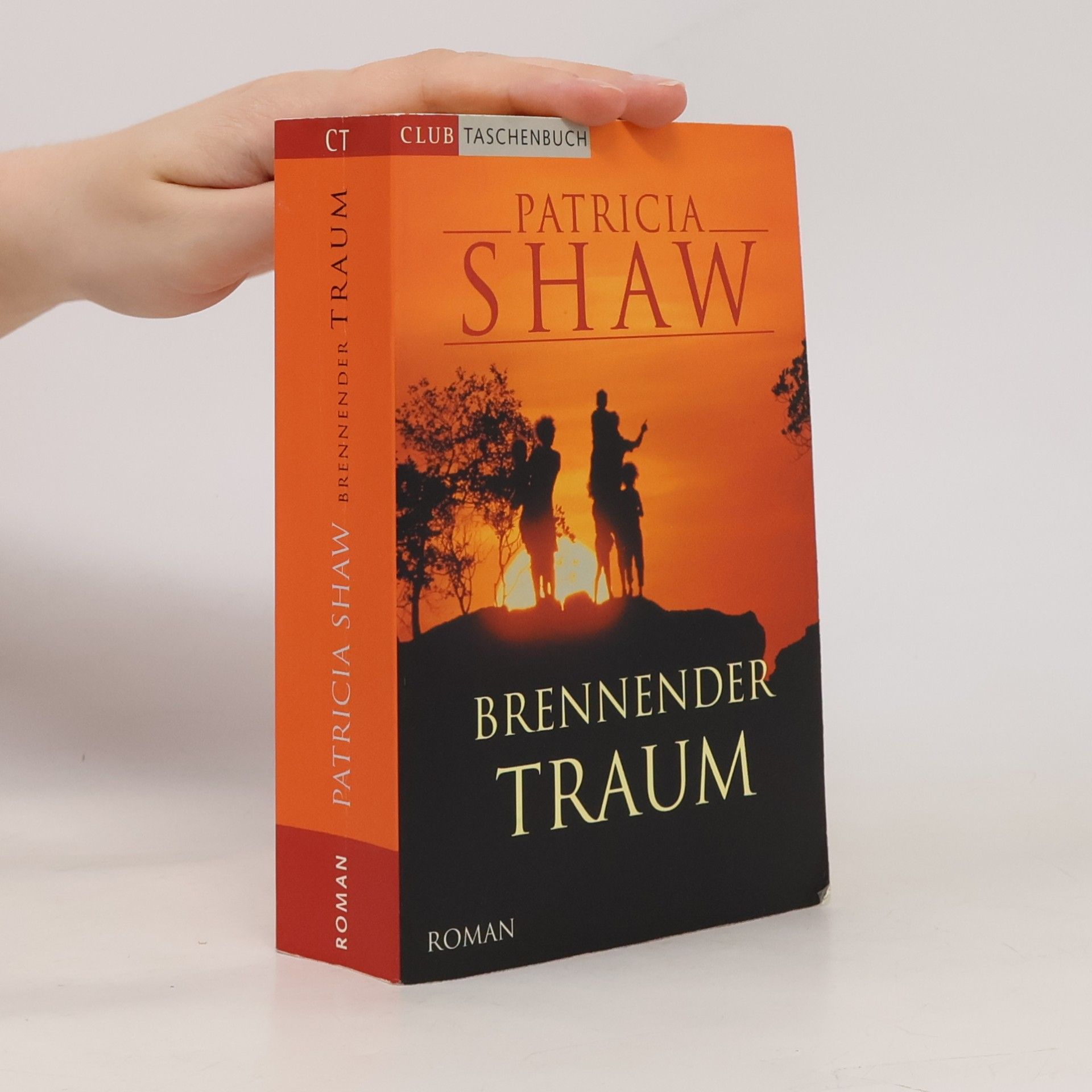 Patricia Shaw Brennender Traum