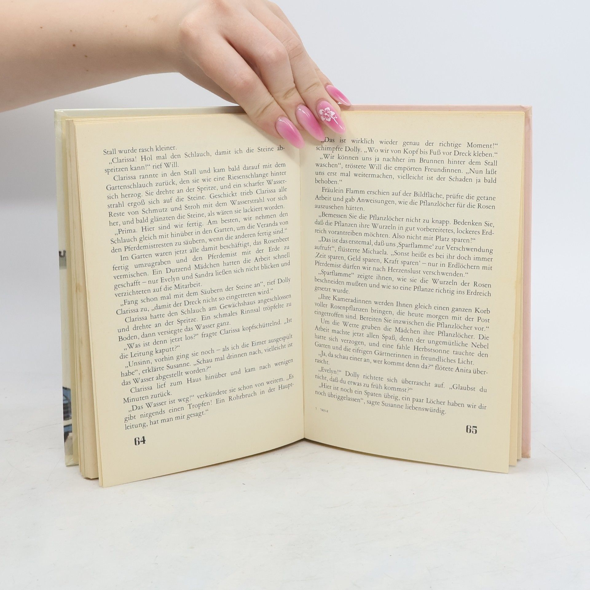 Enid Blyton Dolly 9. Die Burg erlebt ihr größtes Fest