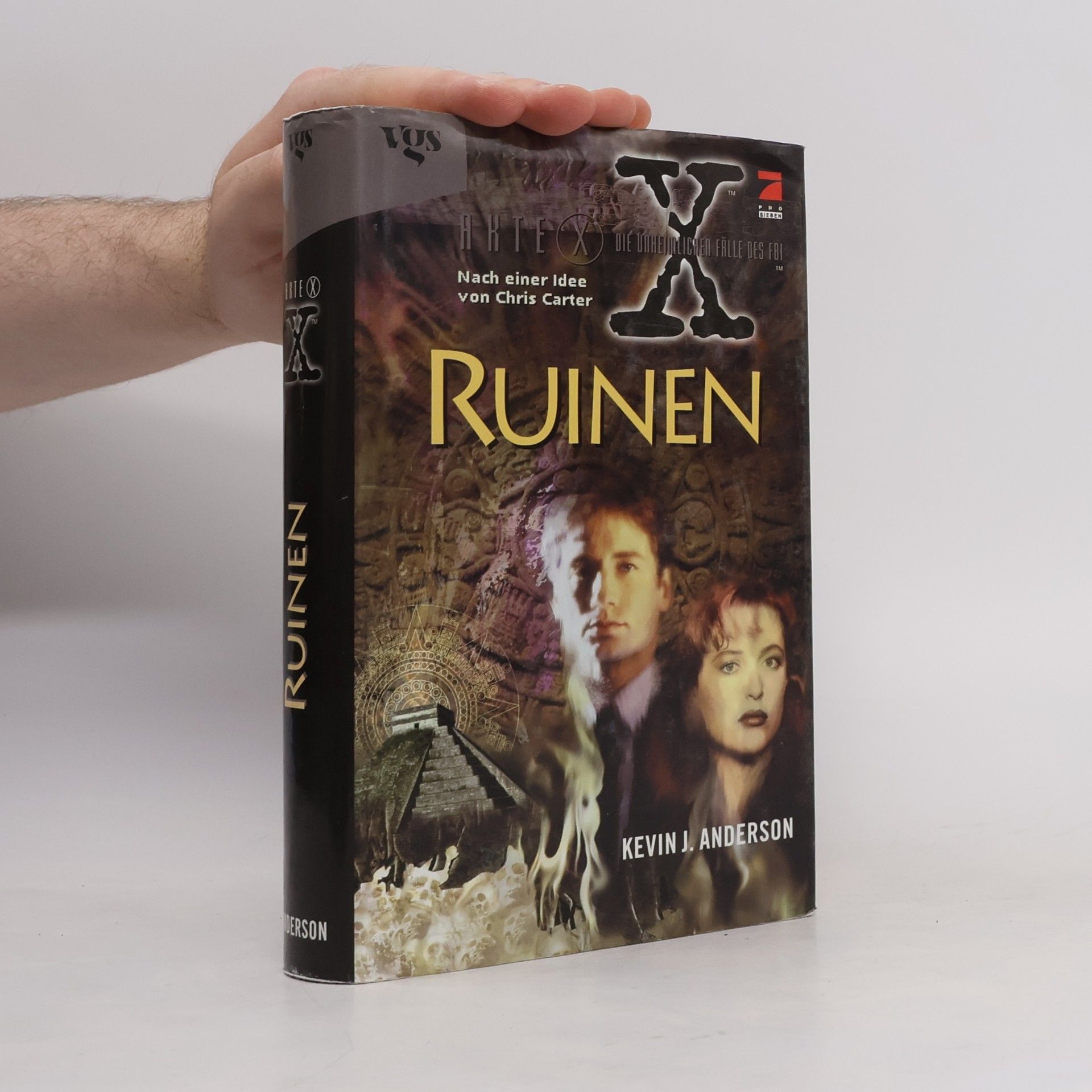 Kevin J. Anderson Akte X - die unheimlichen Fälle des FBI. Ruinen