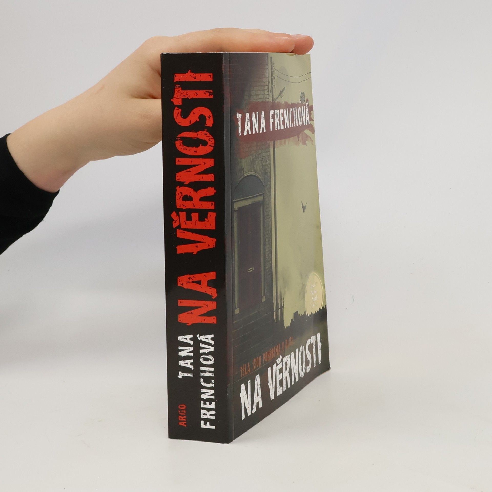 Tana French Na Věrnosti