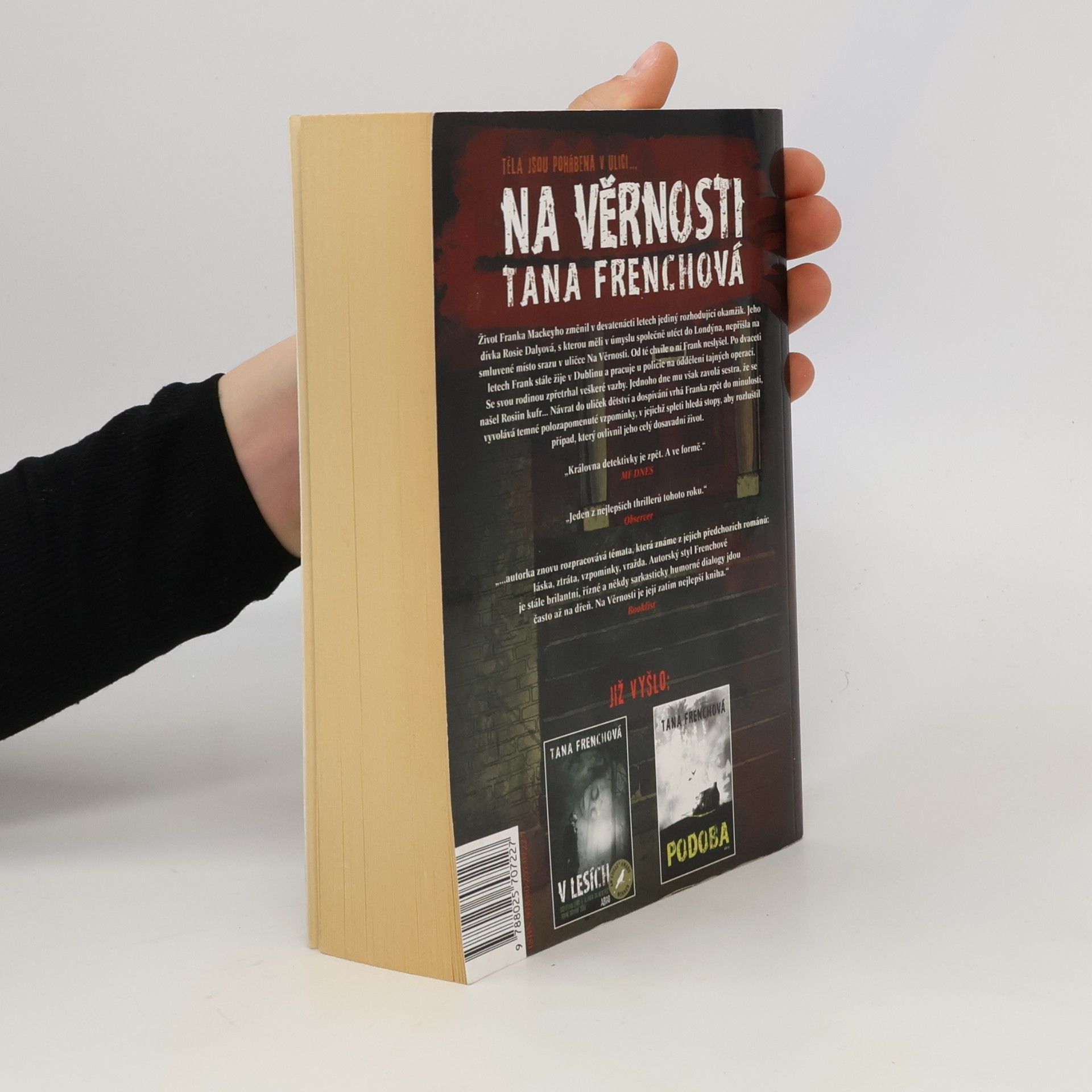 Tana French Na Věrnosti