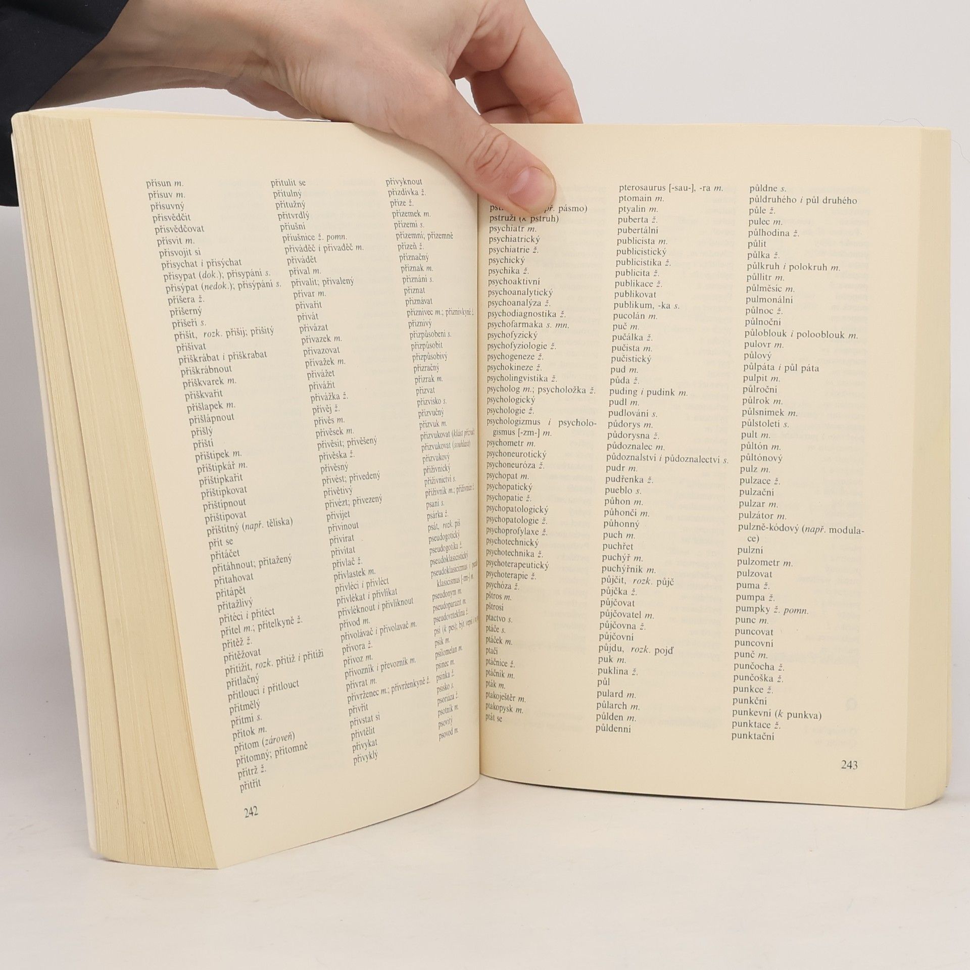 Autorenkollektiv Pravidla českého pravopisu