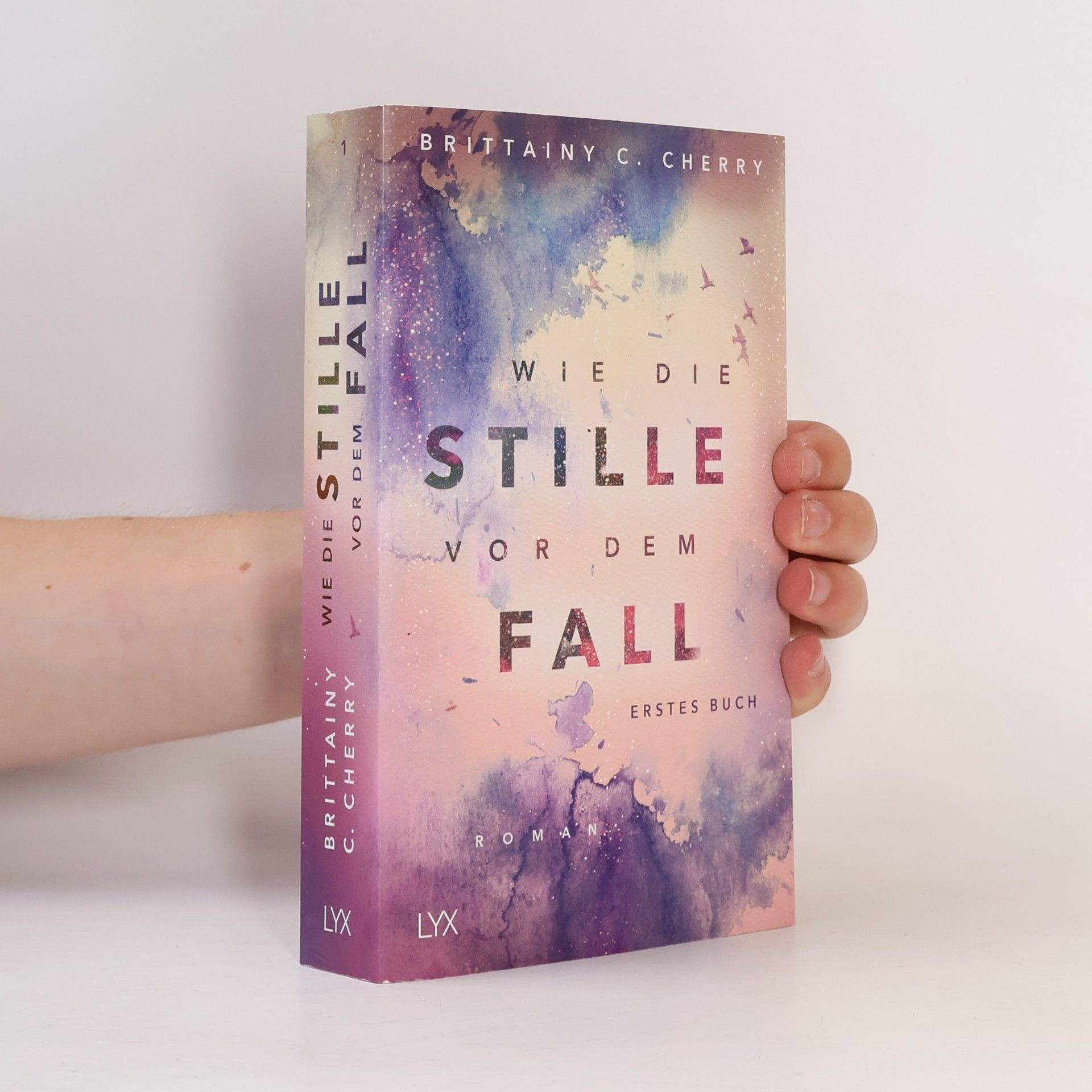 Brittainy C. Cherry Wie die Stille vor dem Fall