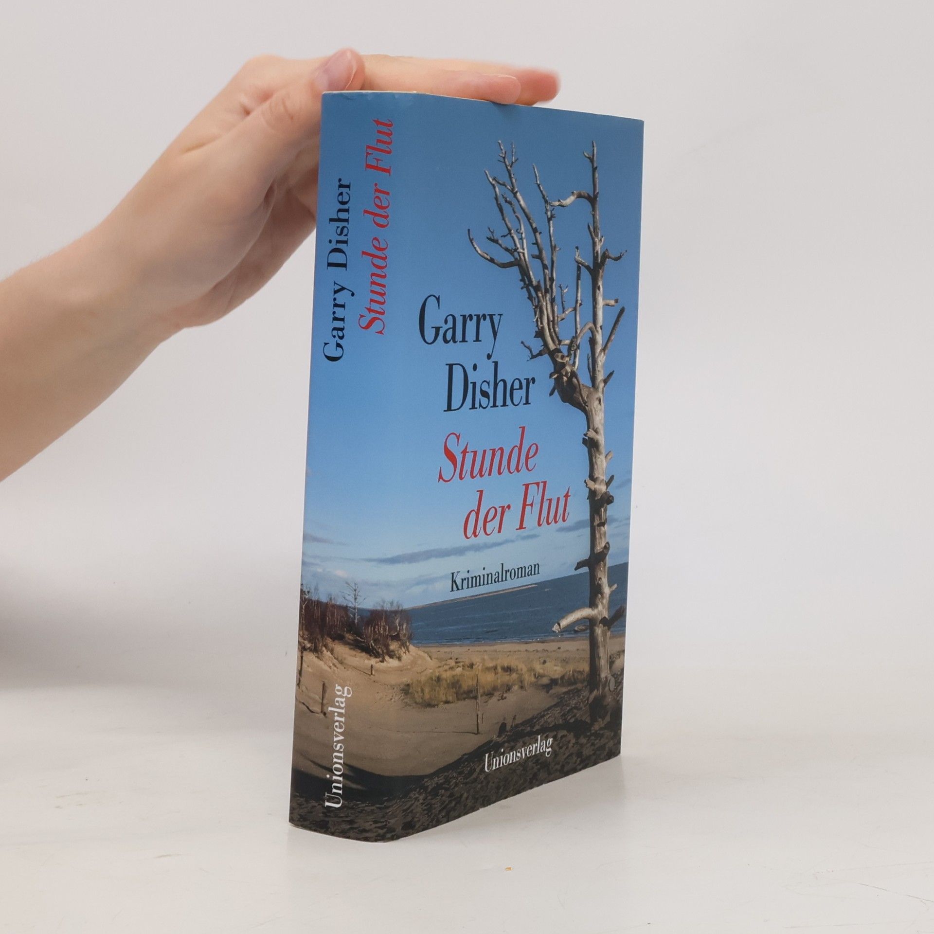 Garry Disher Stunde der Flut