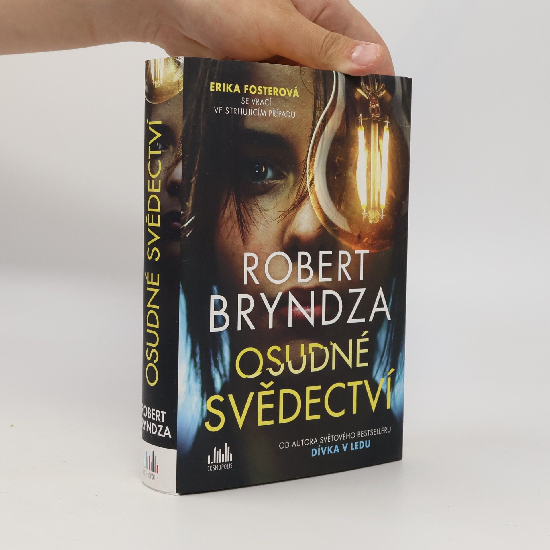 Robert Bryndza Osudné svědectví