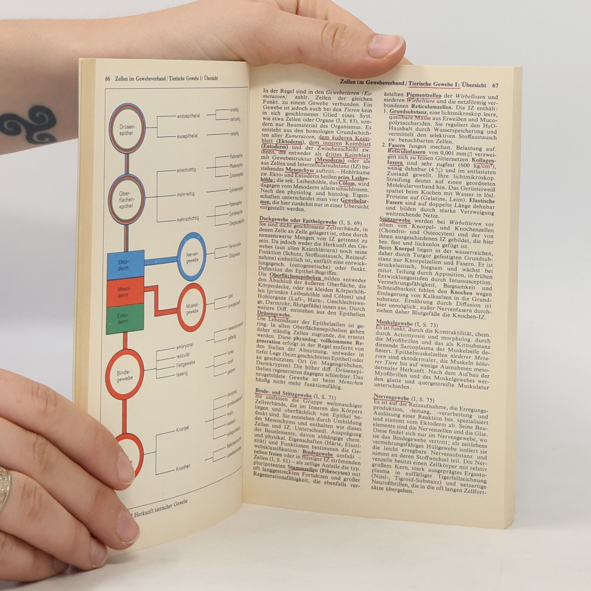 Kolektiv autorů Atlas zur Biologie 1