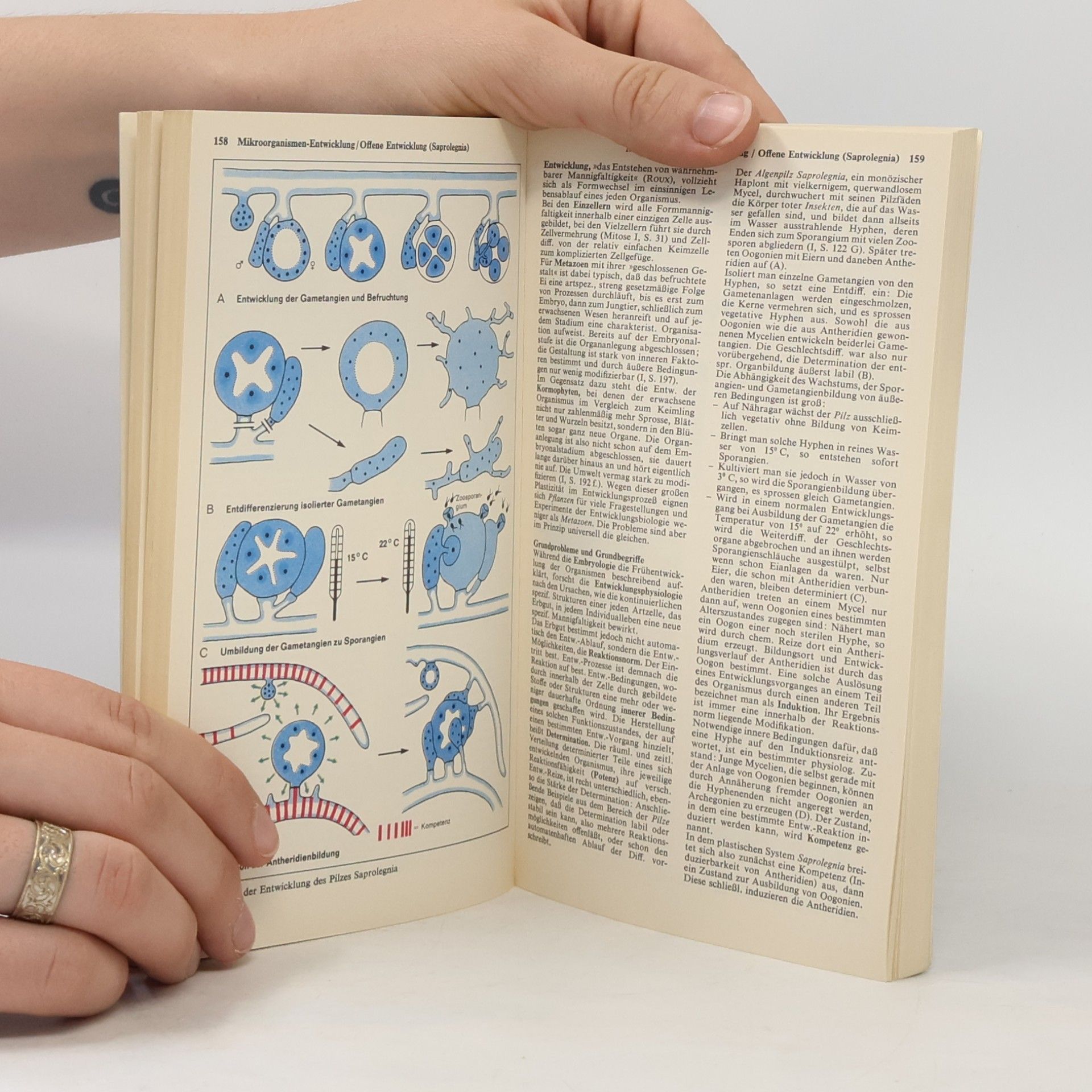 Kolektiv autorů Atlas zur Biologie 1