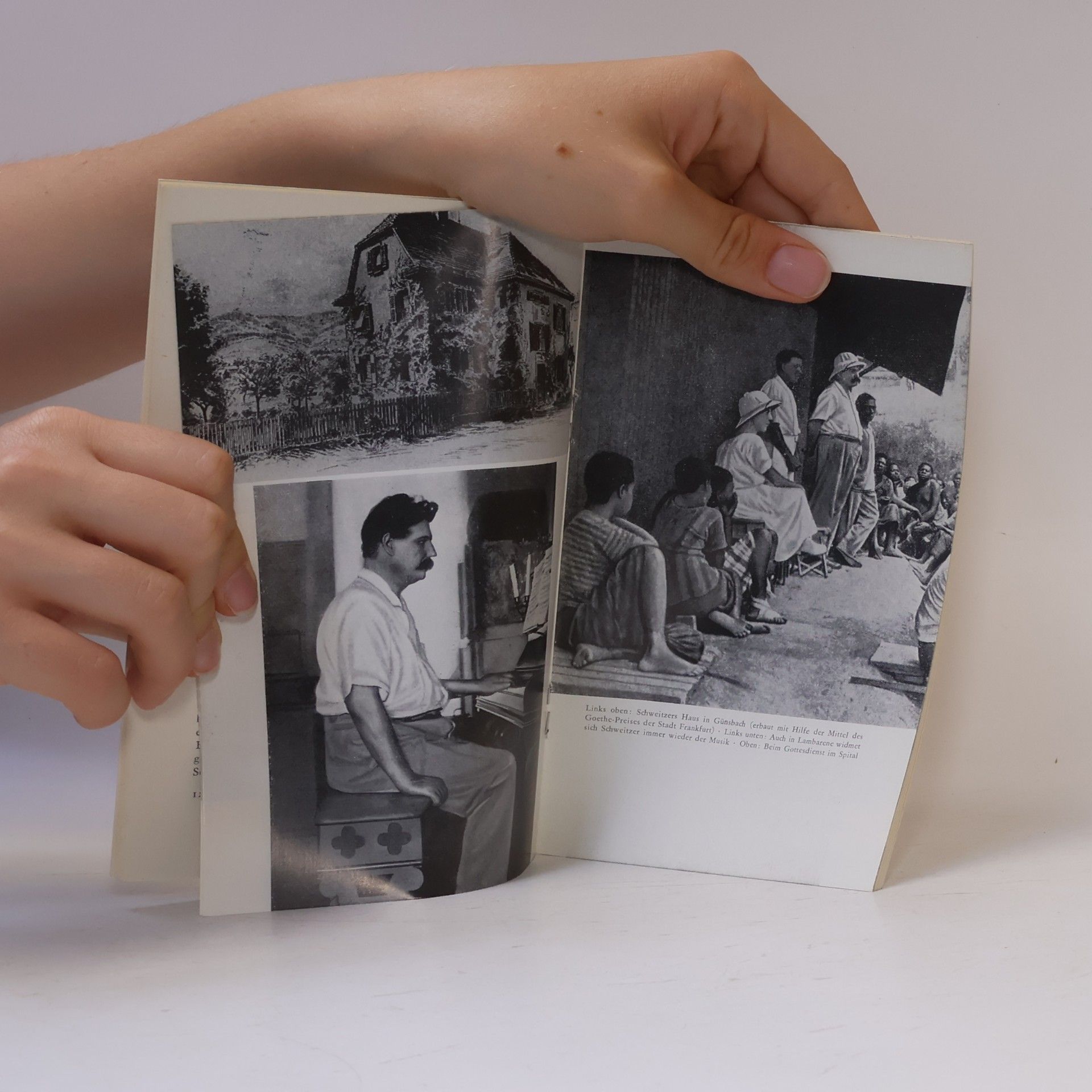 Collectif d'auteurs Albert Schweitzer