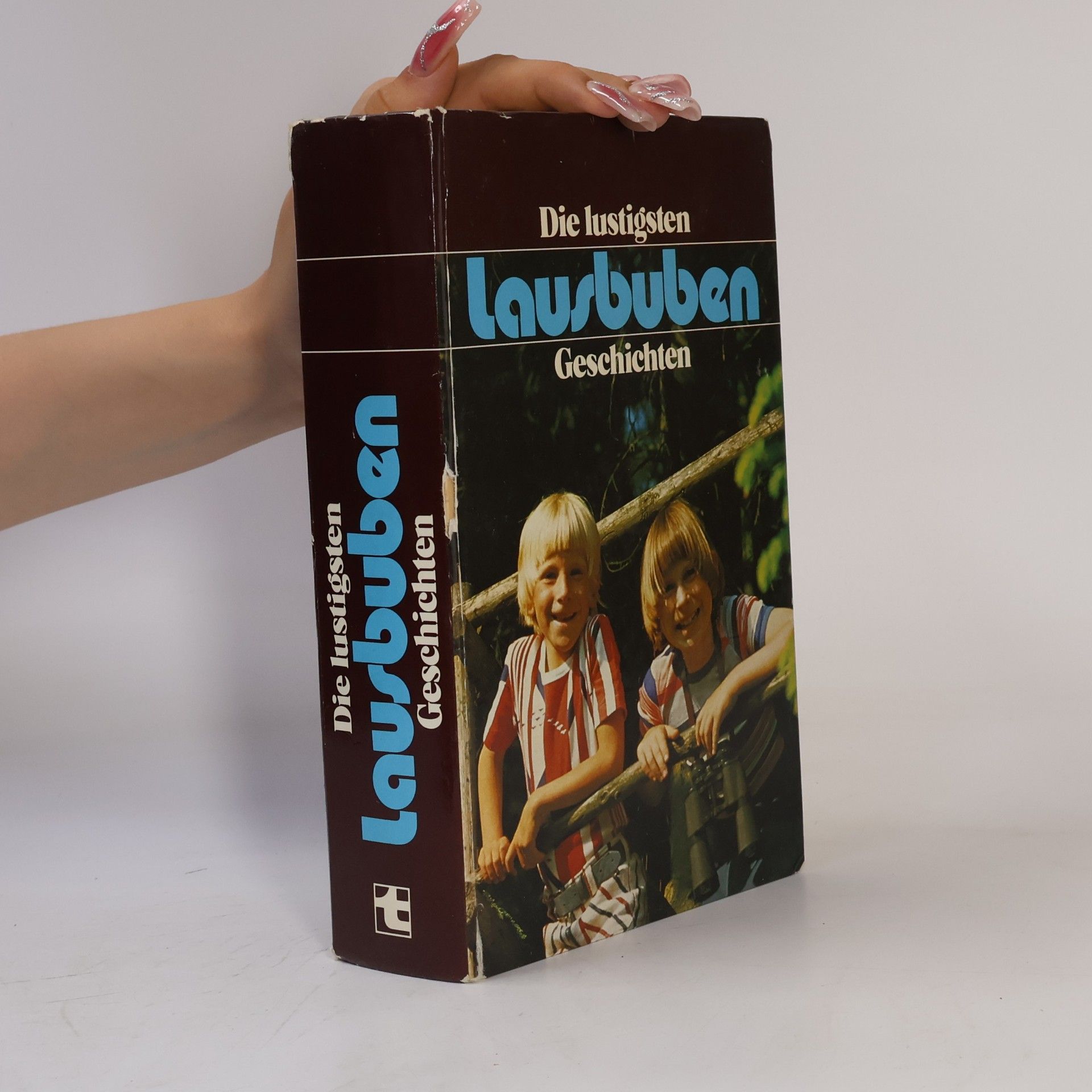 Autorenkollektiv Die Lustigsten Lausbuben
