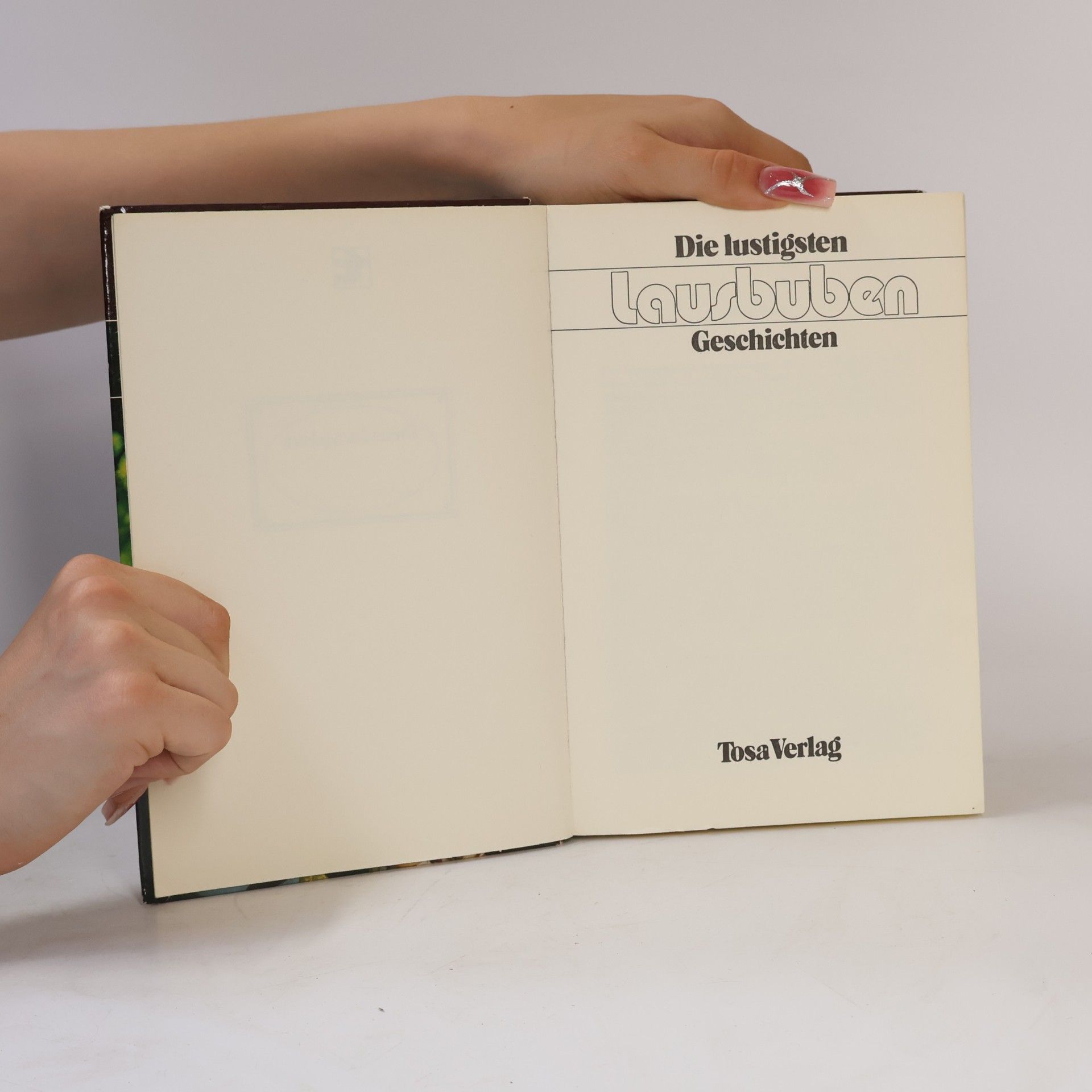 Autorenkollektiv Die Lustigsten Lausbuben