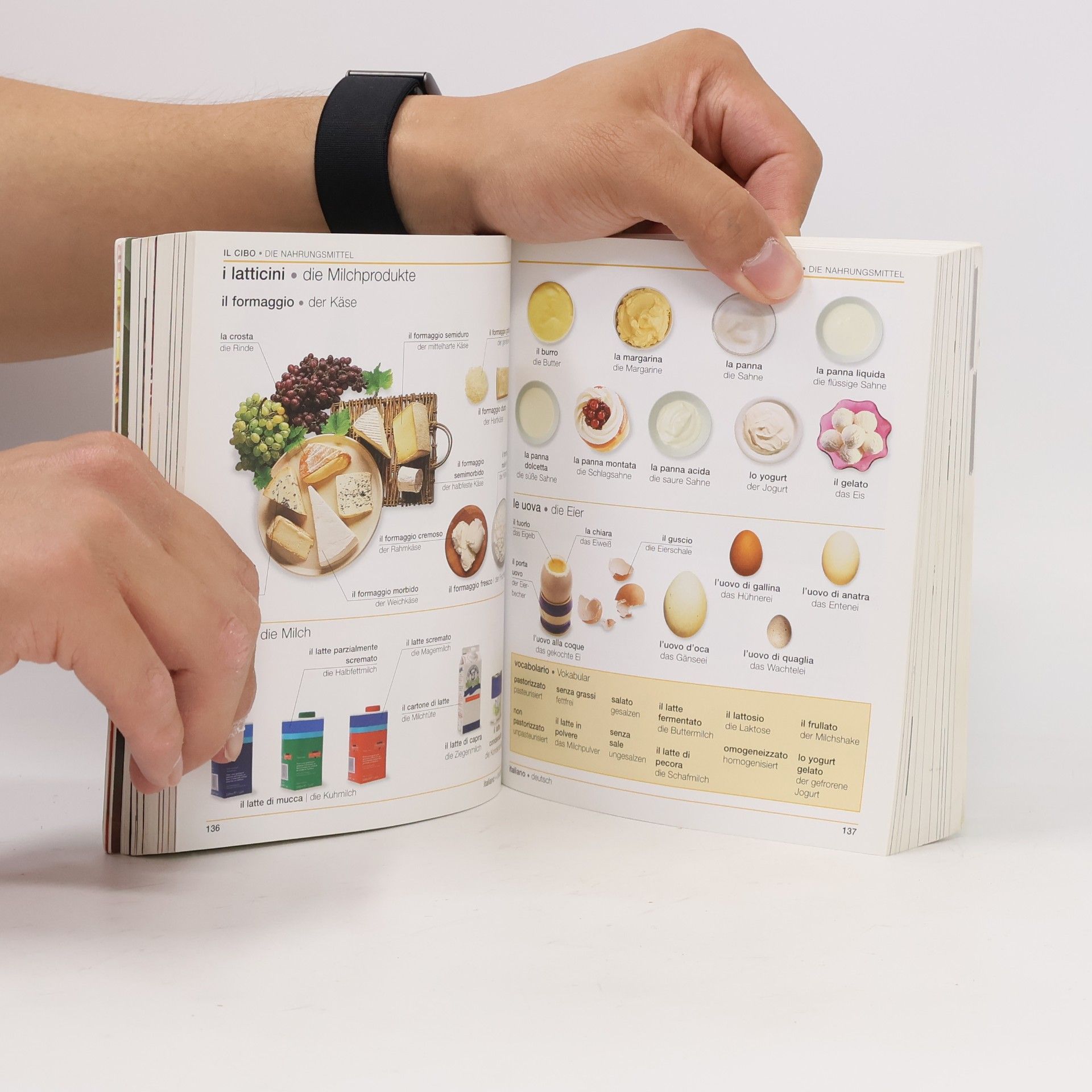 Christine Arthur Visuelles Wörterbuch Italienisch-Deutsch