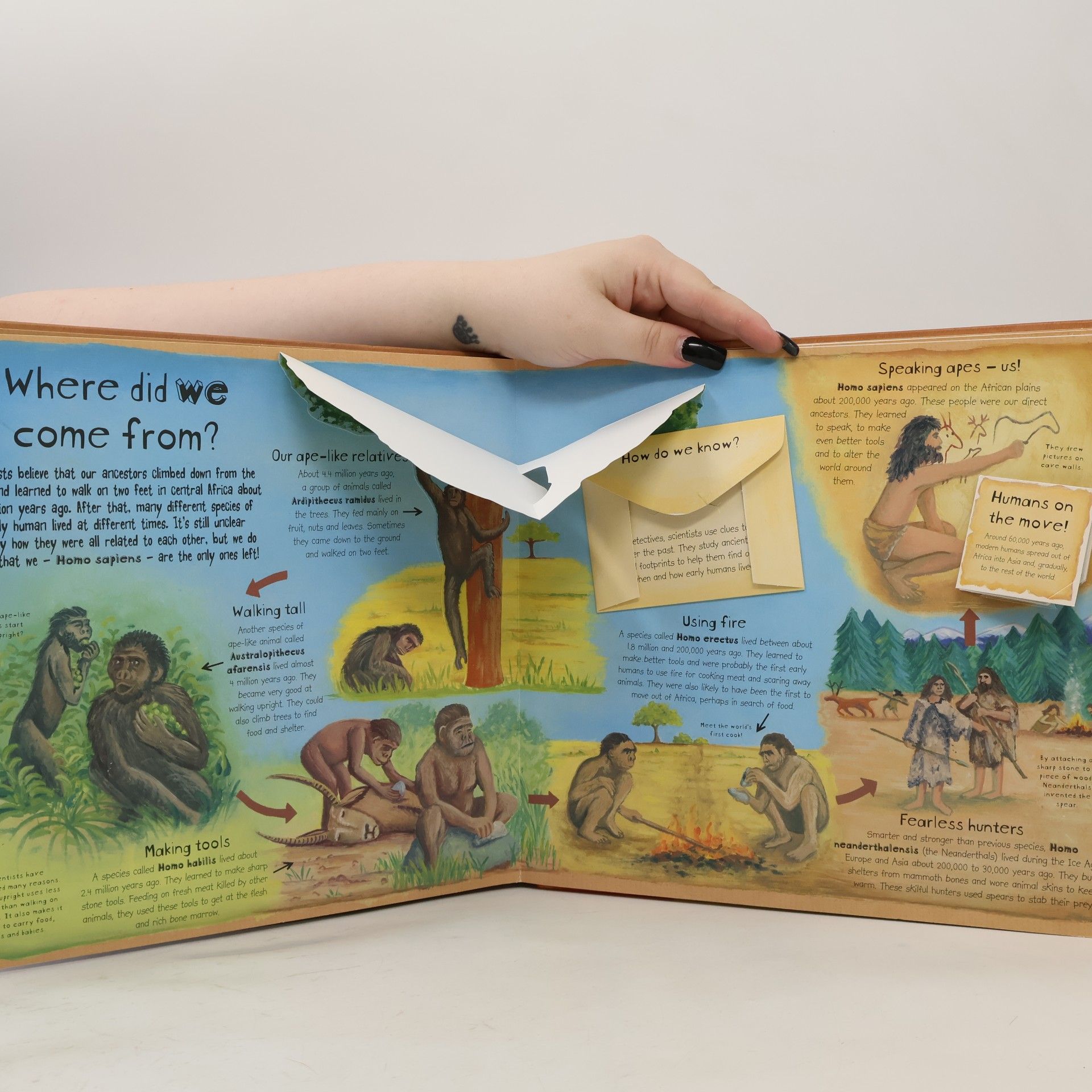 Christiane Dorion How the World Began