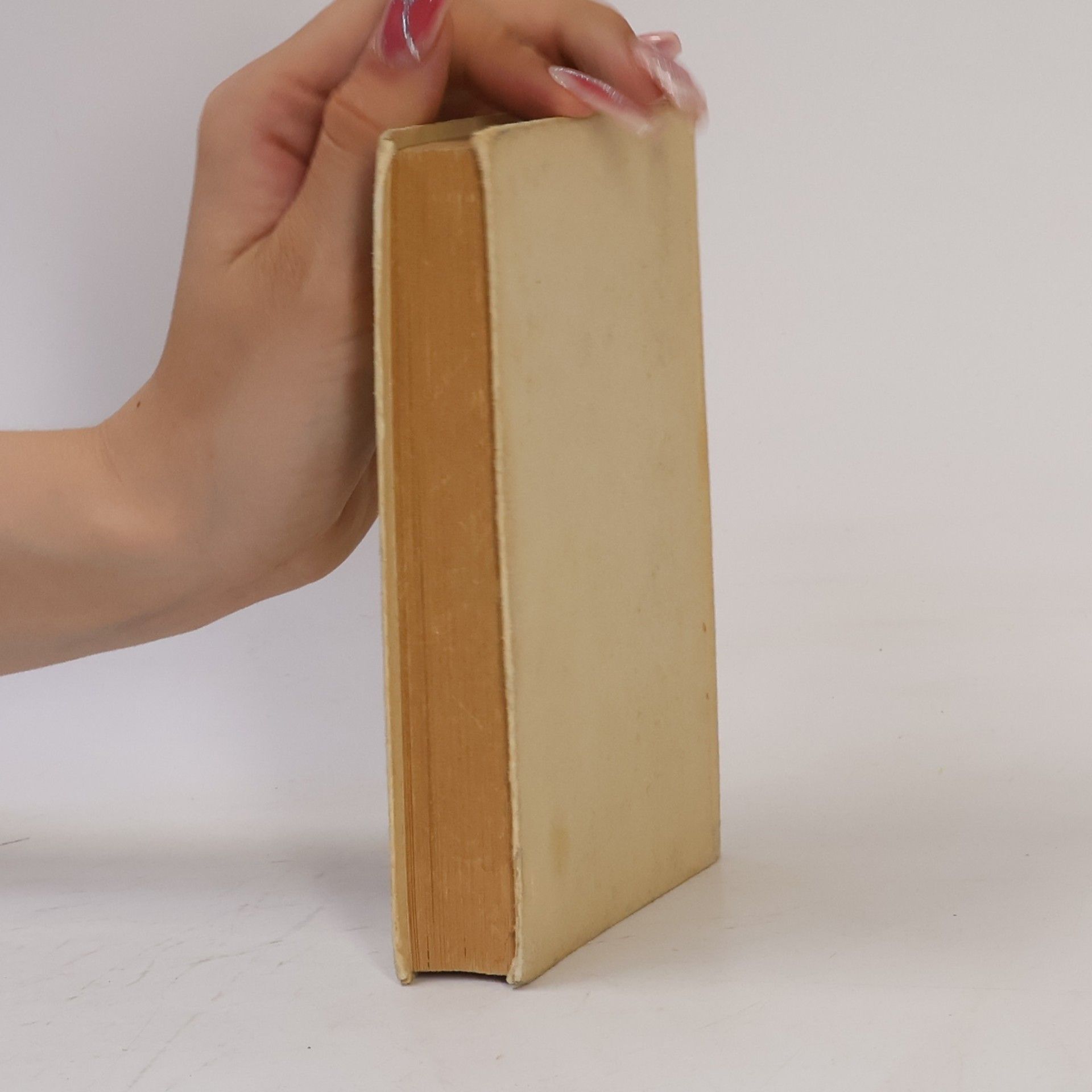 Autorenkollektiv Taschenwörterbuch. Deutsch English