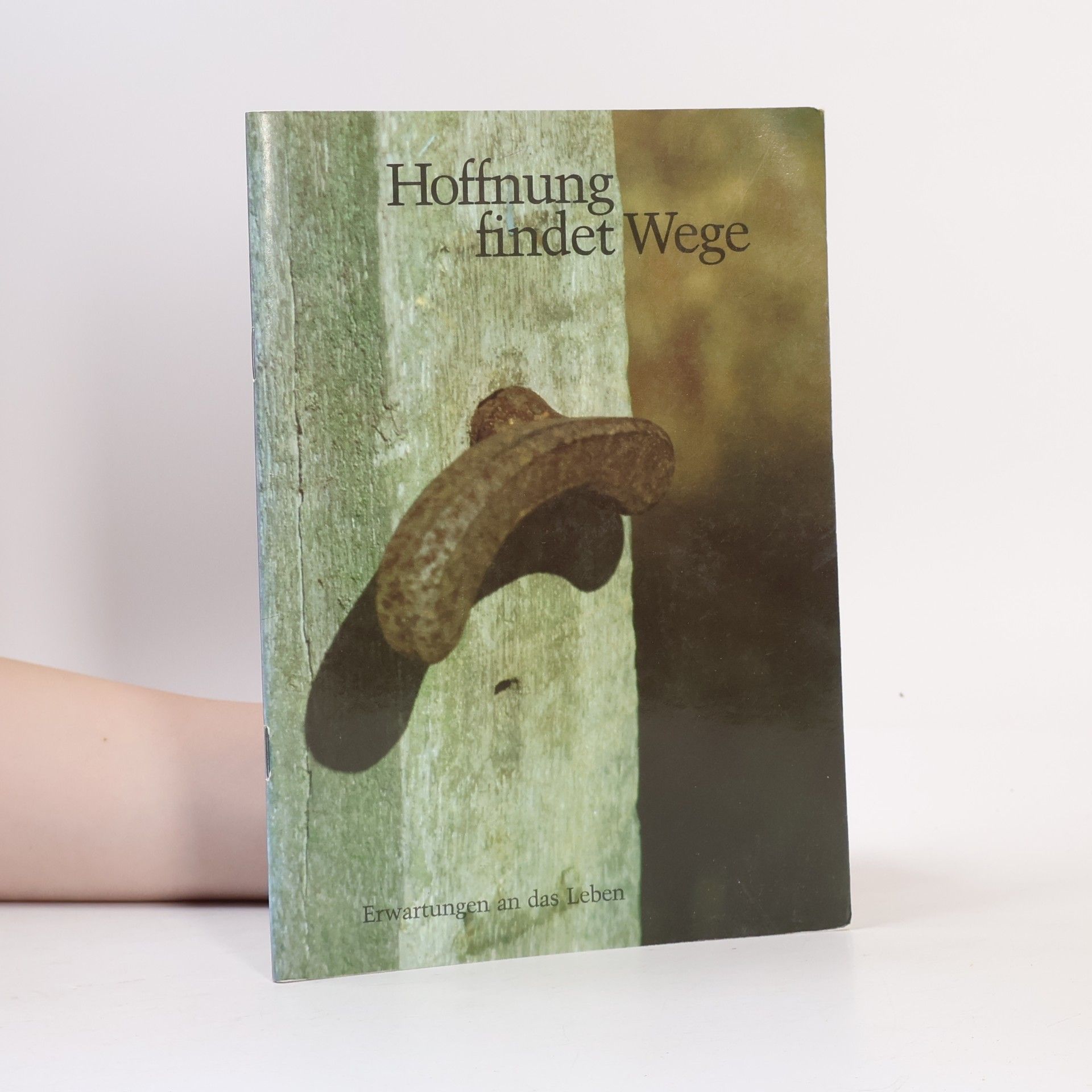 Peter Klever Hoffnung findet Wege