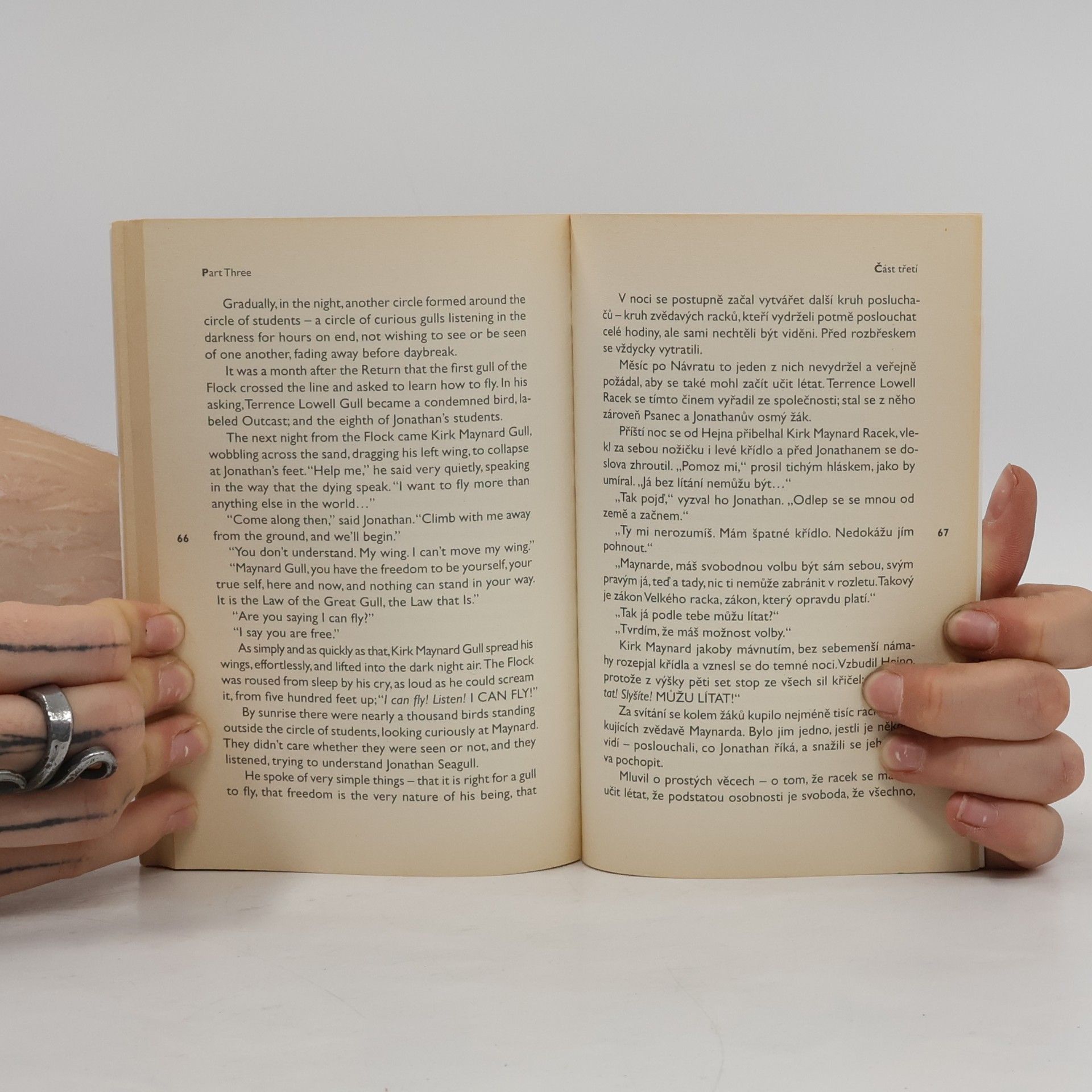 Richard Bach Racek/Seagull